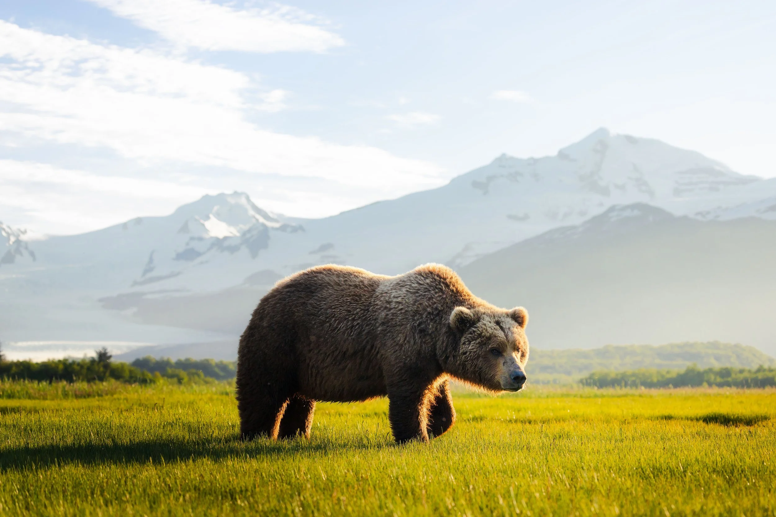 Wildlife-32.jpg