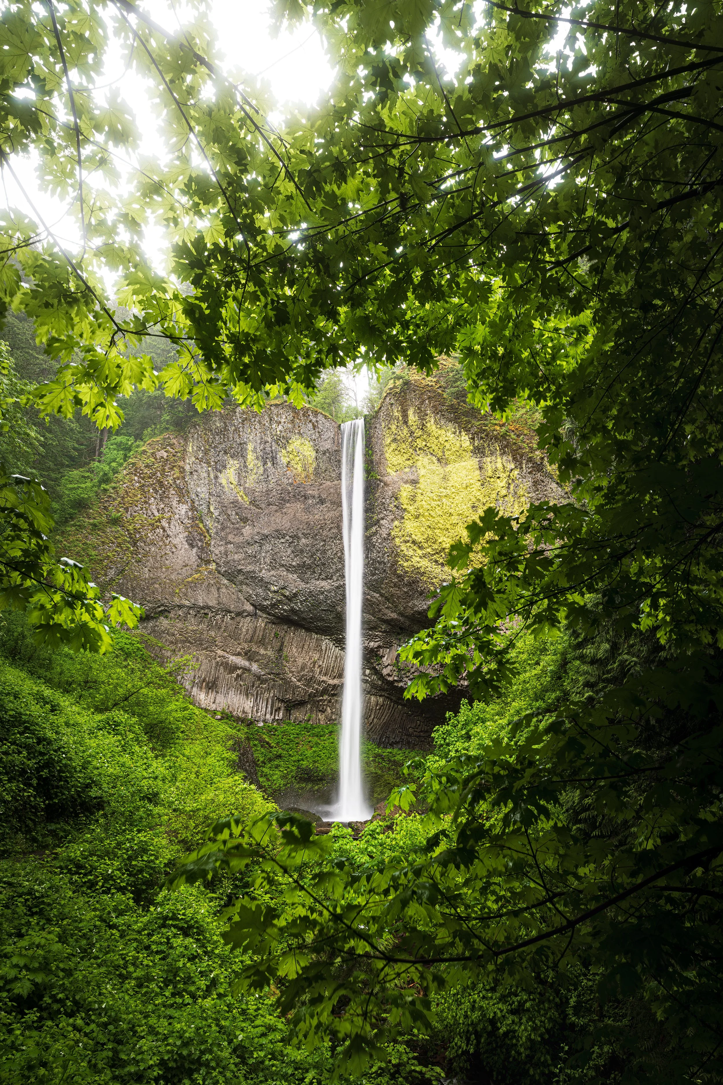 Oregon-3.jpg