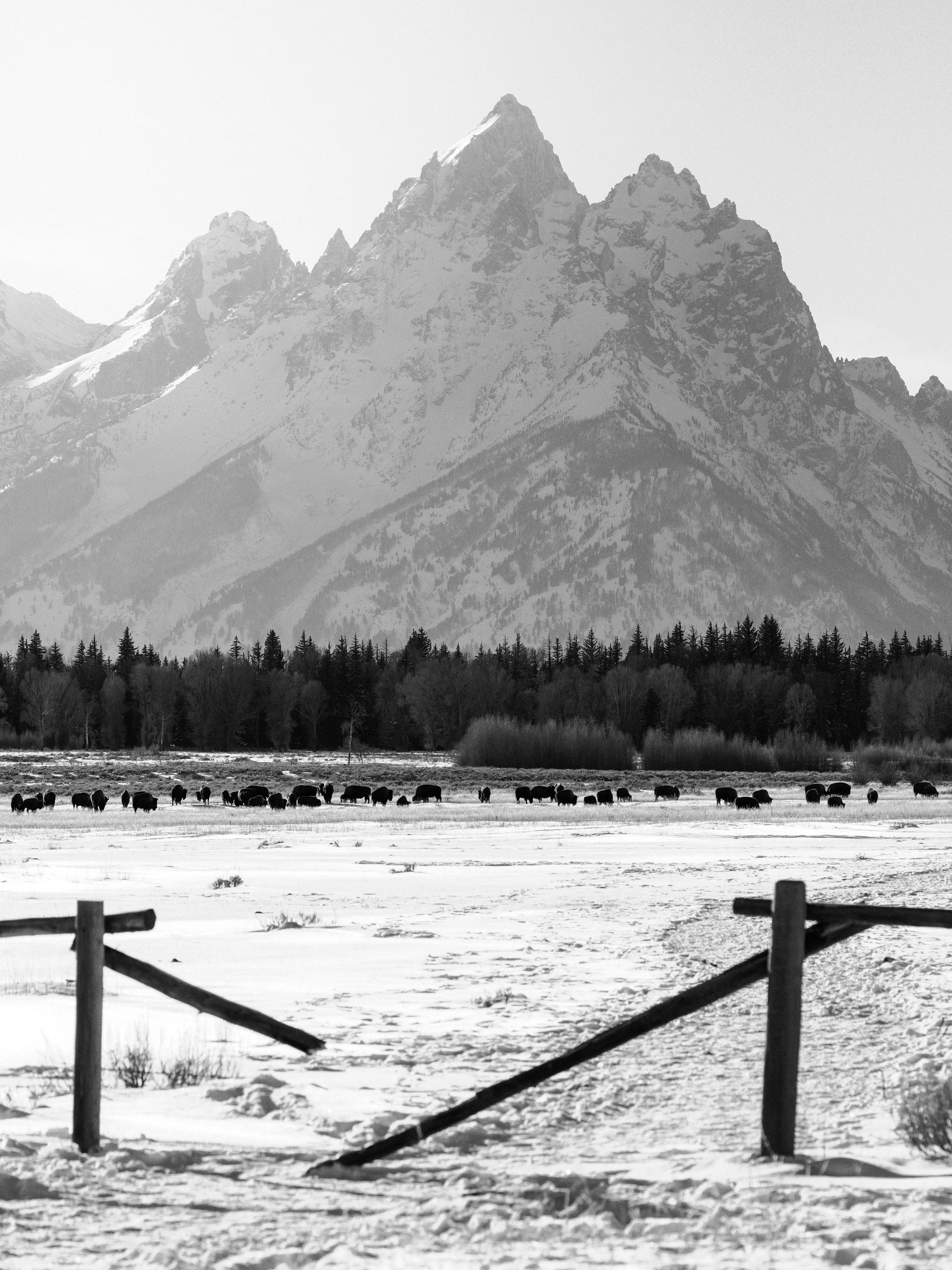Wyoming-33.jpg