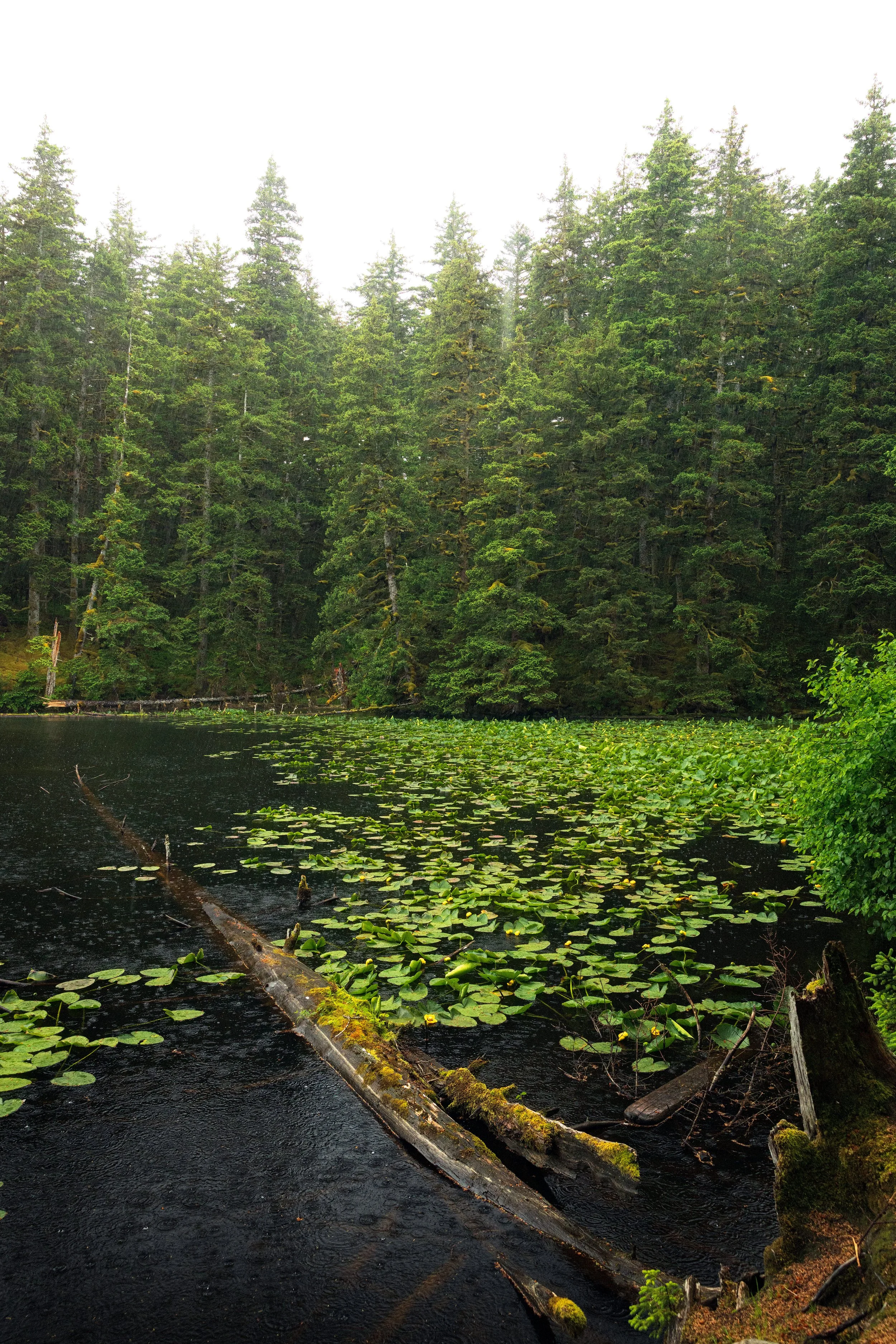 Alaska-4.jpg