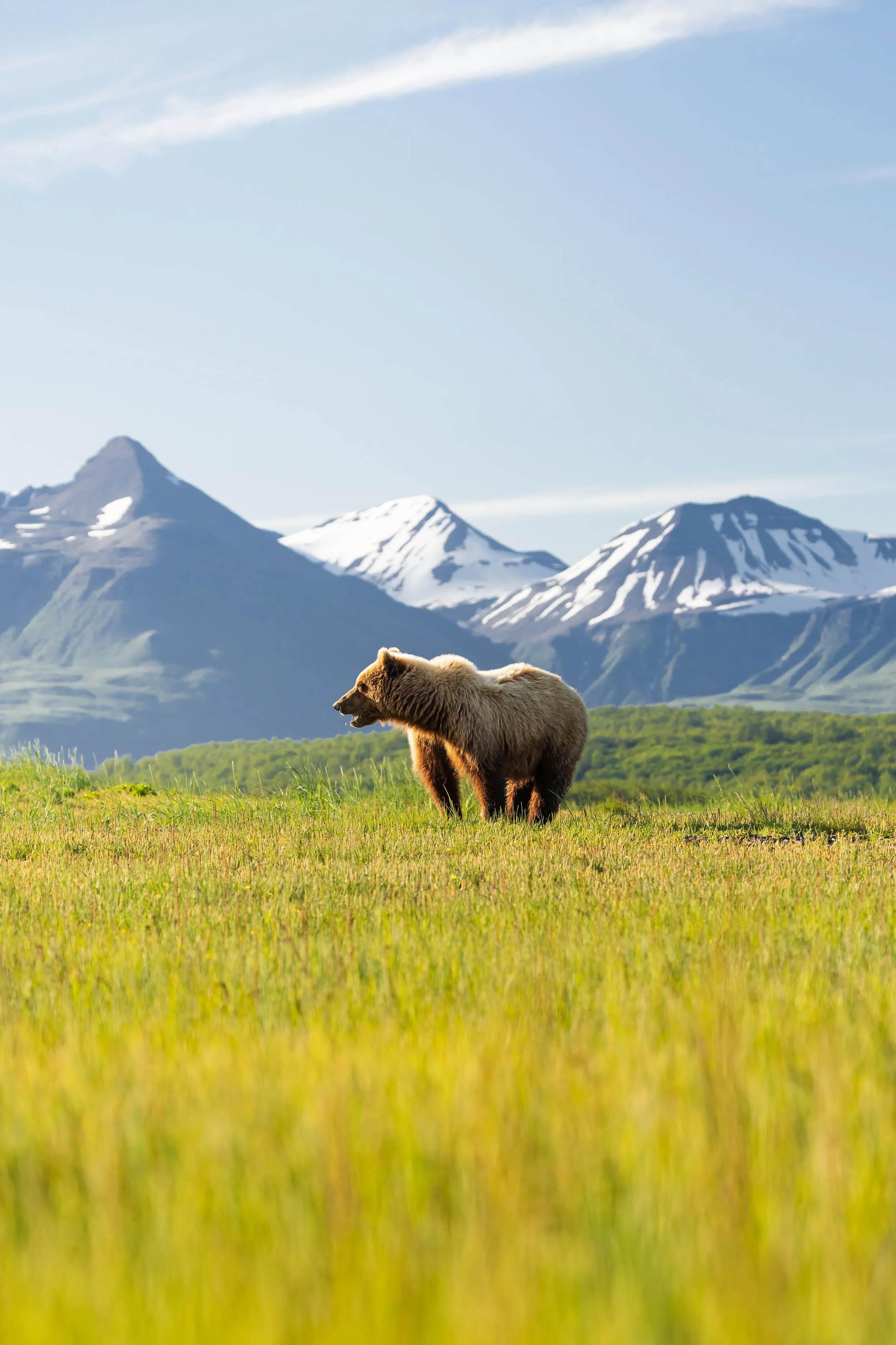 Wildlife-41.jpg