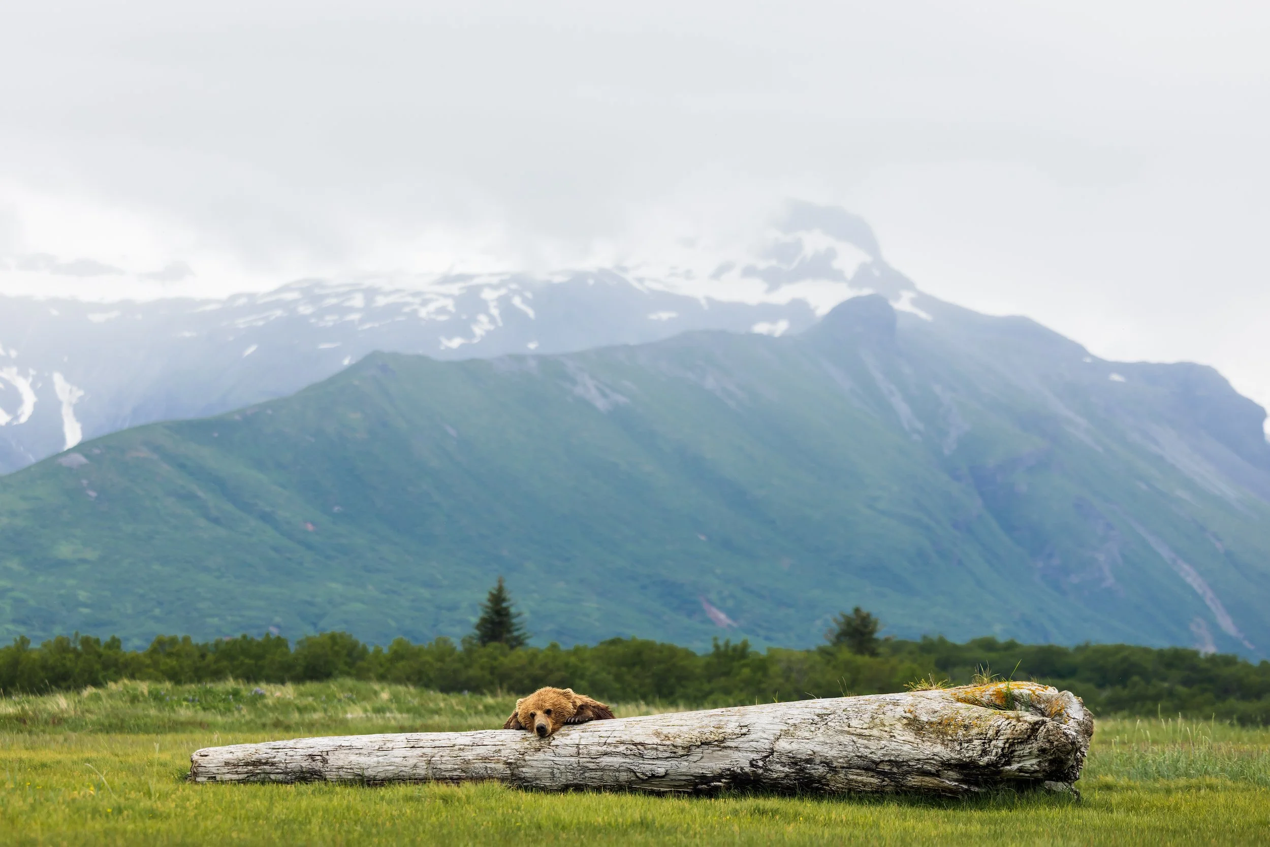 Alaska-22.jpg