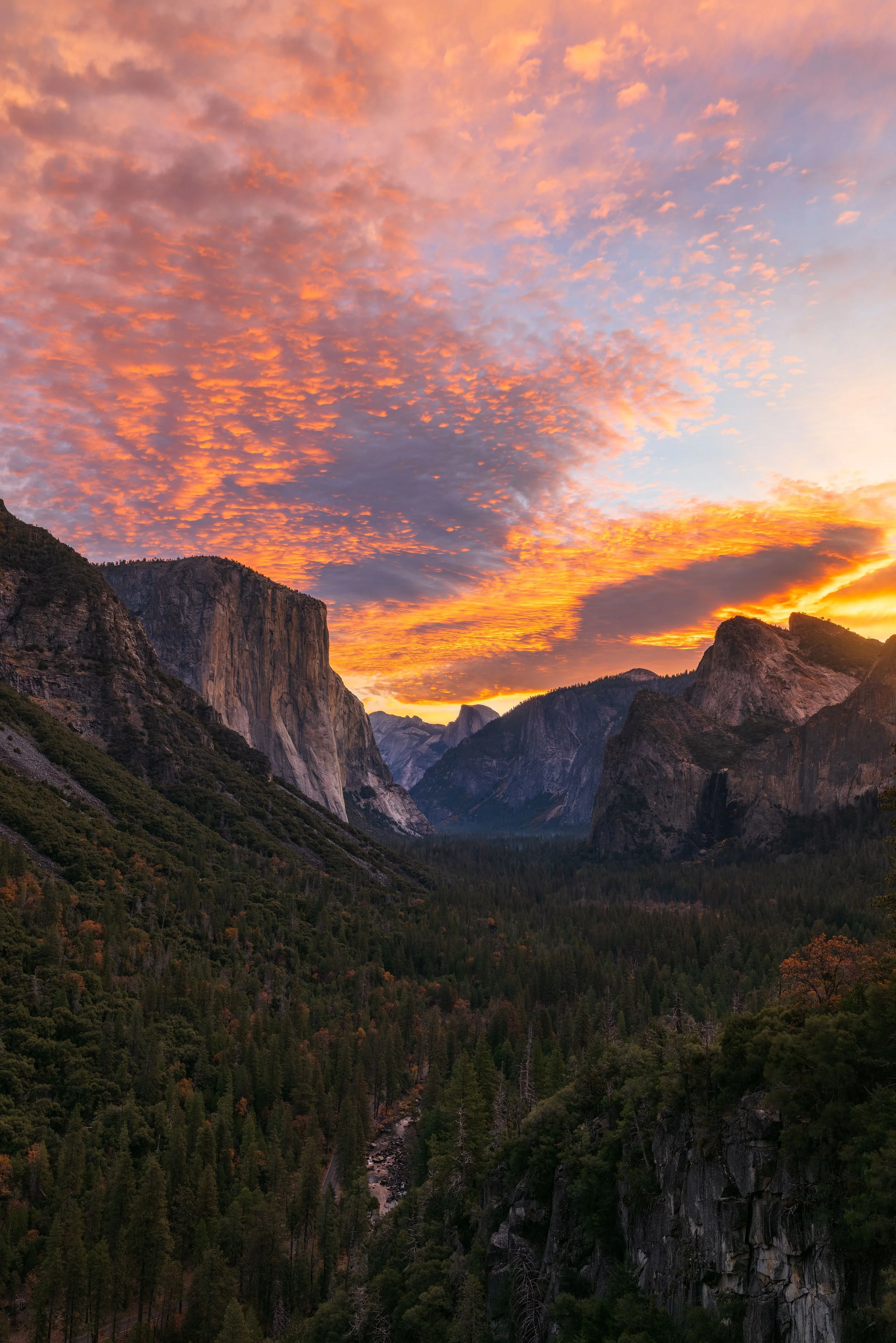 Yosemite-33.jpg