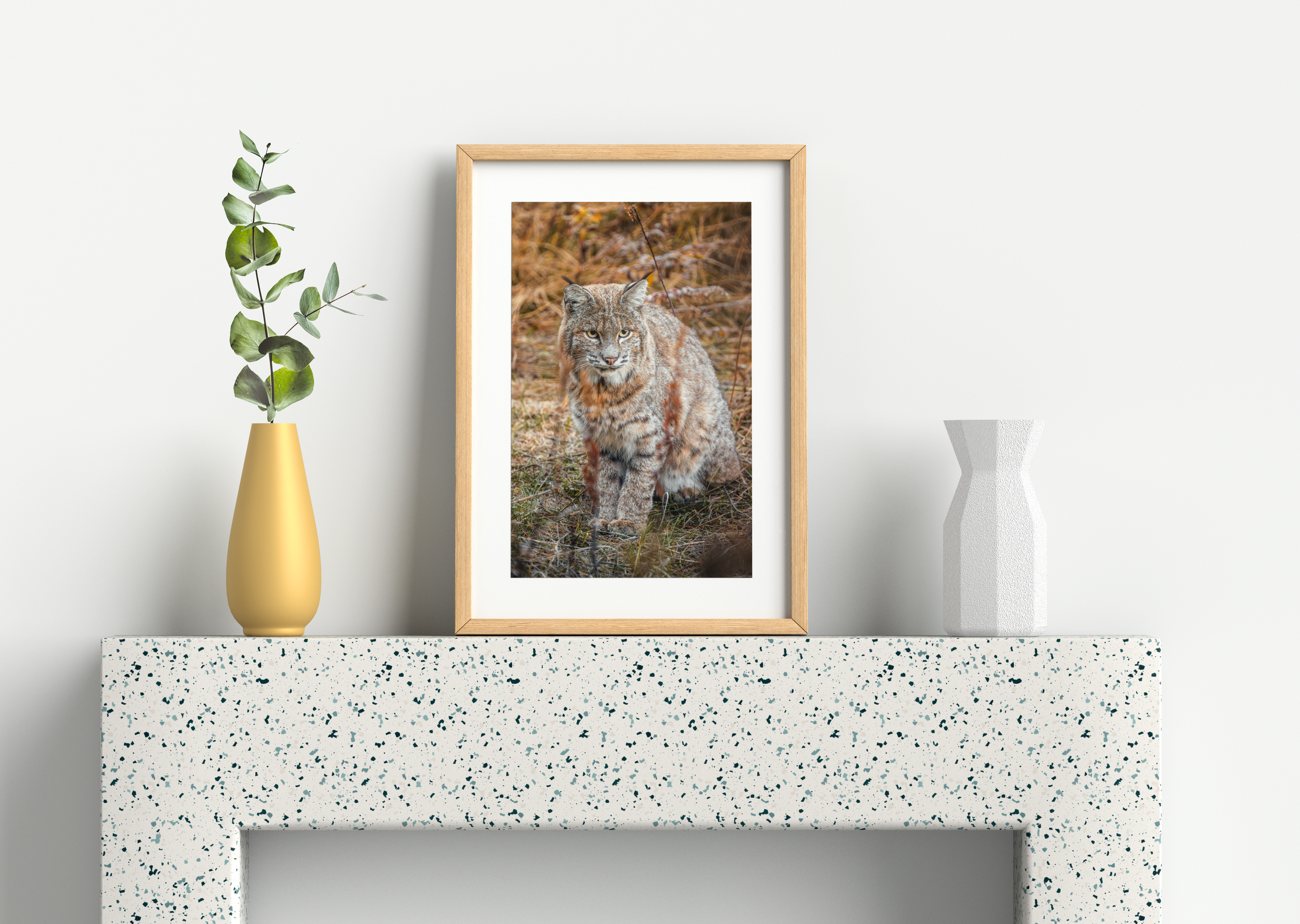 Wildlife-45.png