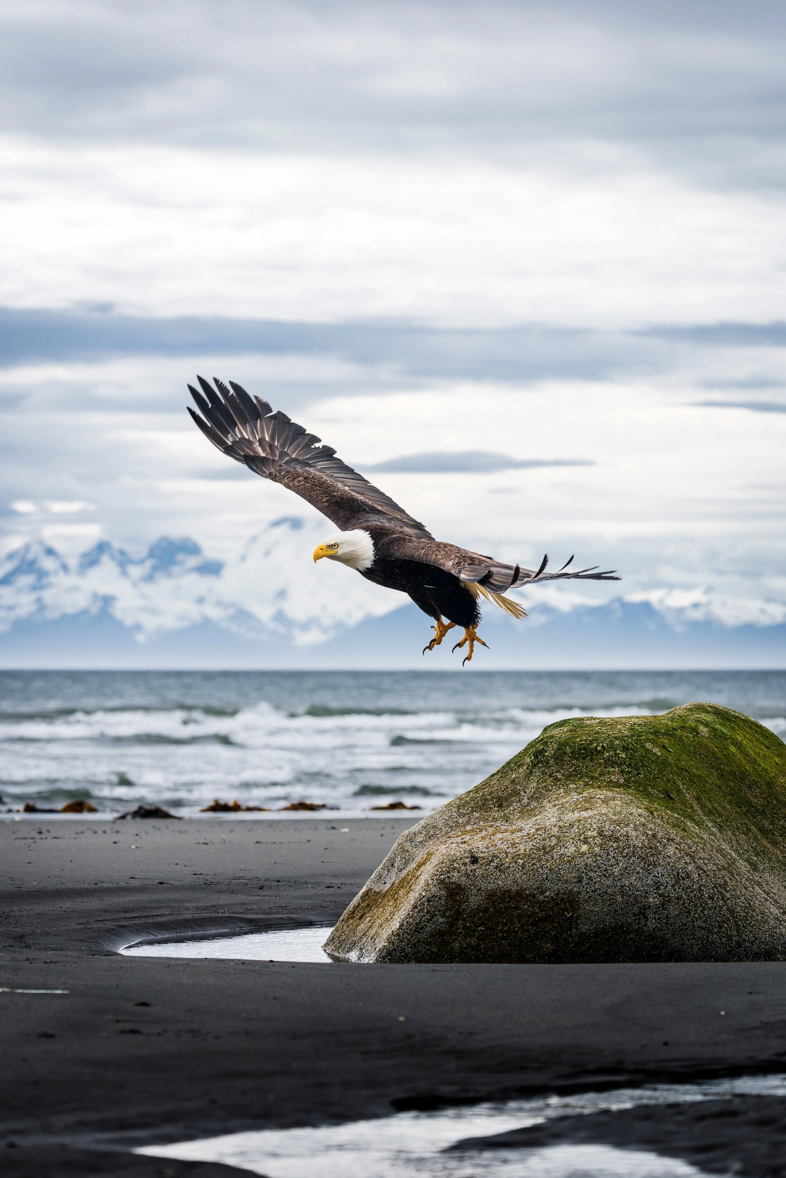 Wildlife-39.jpg