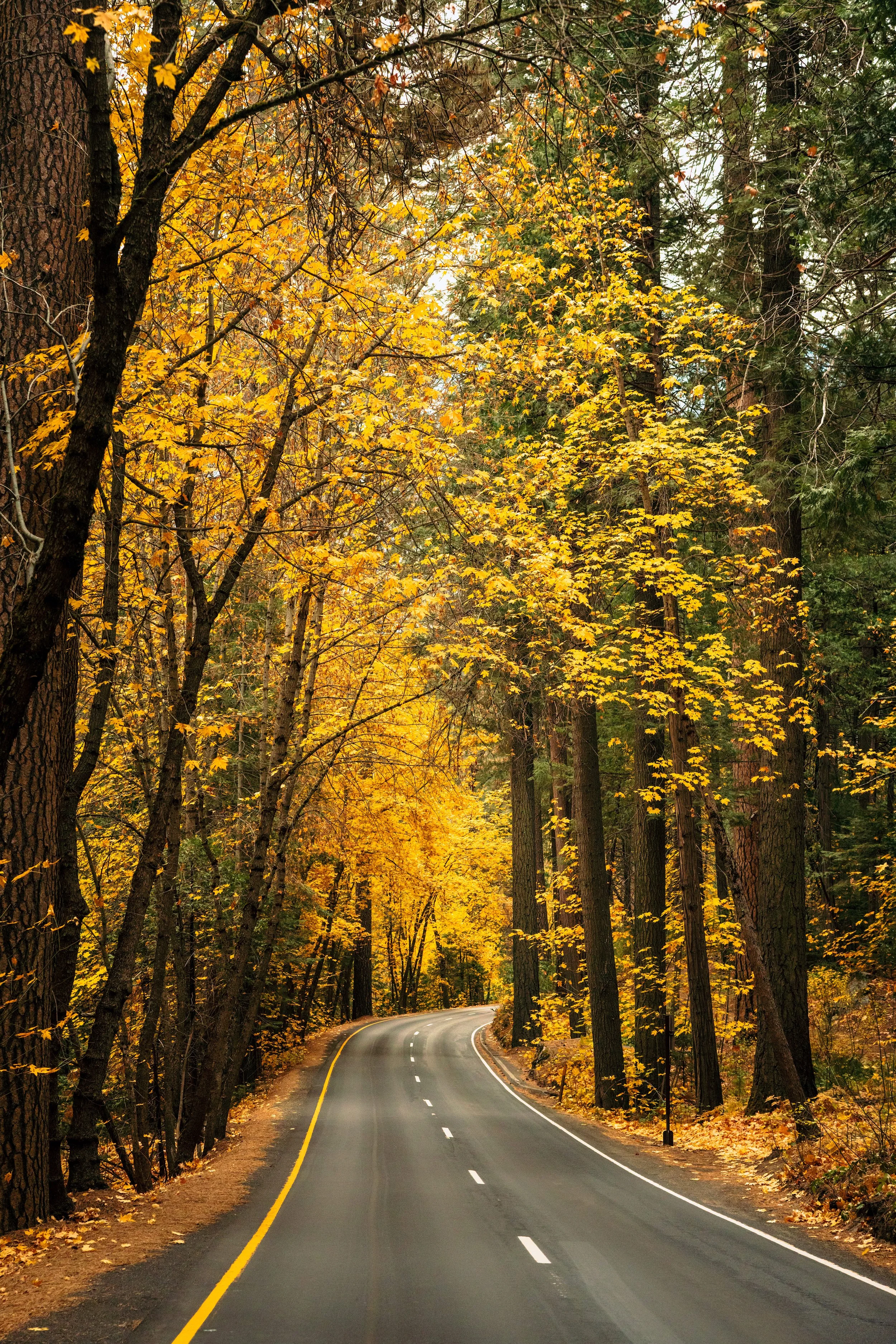Yosemite-40.jpg