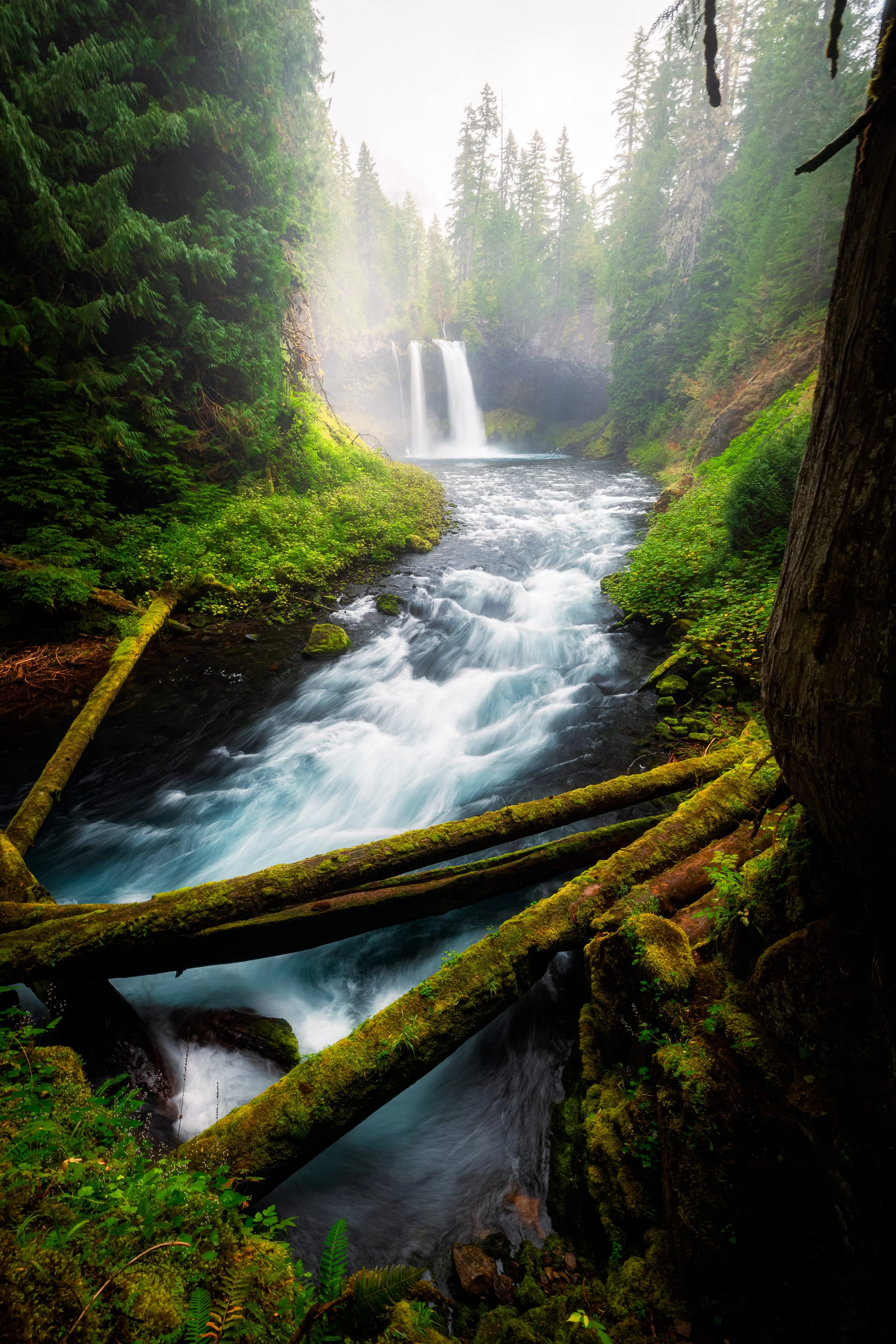 Oregon-6.jpg