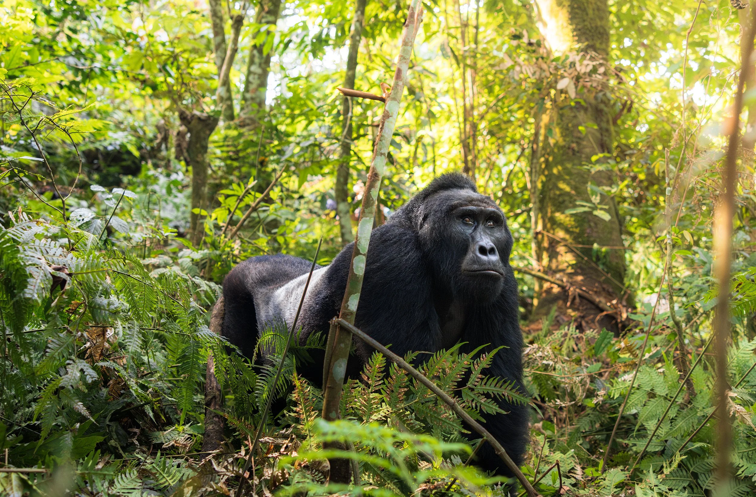 Wildlife-38.jpg
