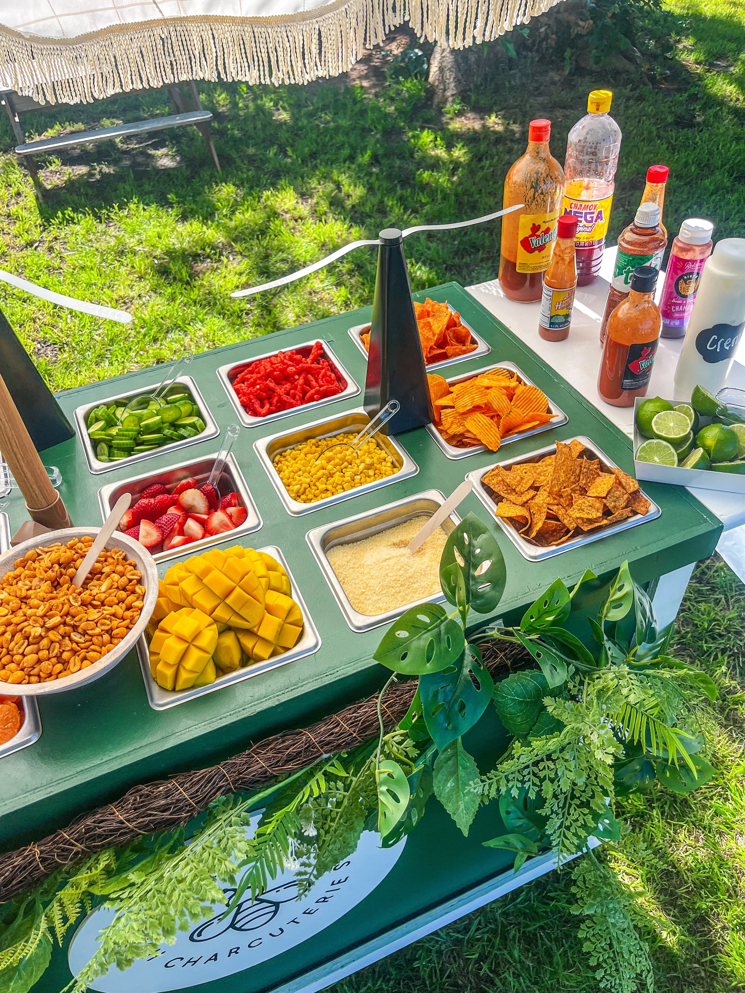 A colorful outdoor buffet with various chopped fruits, vegetables, and chips arranged on a table decorated with green foliage at a sunny location.