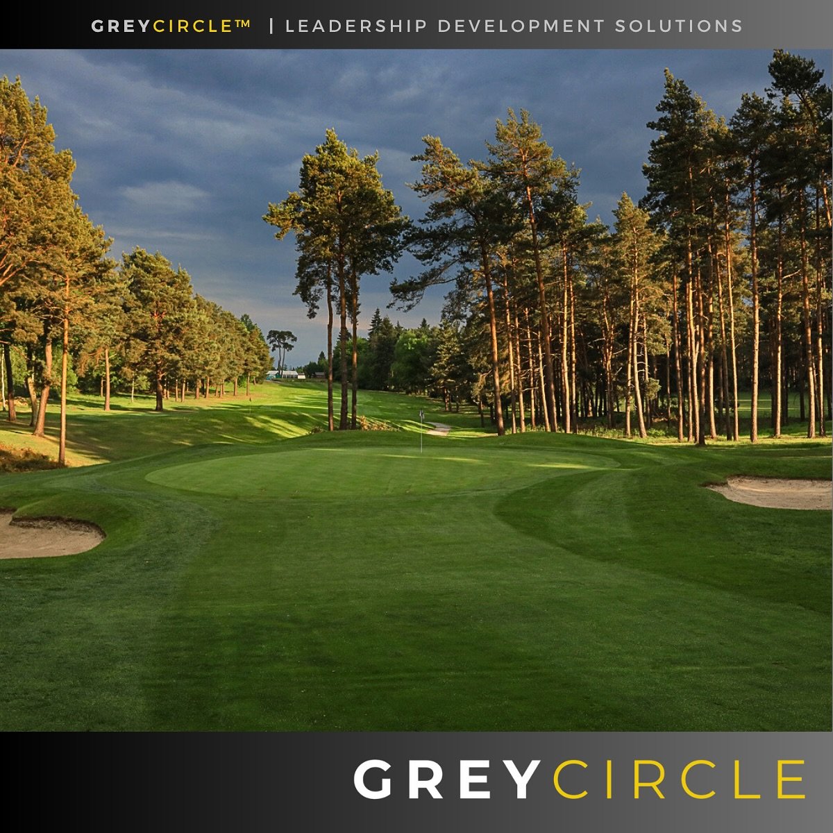 Our next GreyCircle&trade;️ Networking Event will be held at @foxhillssurrey on the 7th July⛳️

#foxhillsgolf #golfclub #member #business #businesstips #executivecoach #networking #networkevent