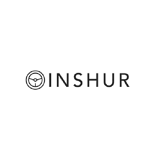 INSHUR Logo