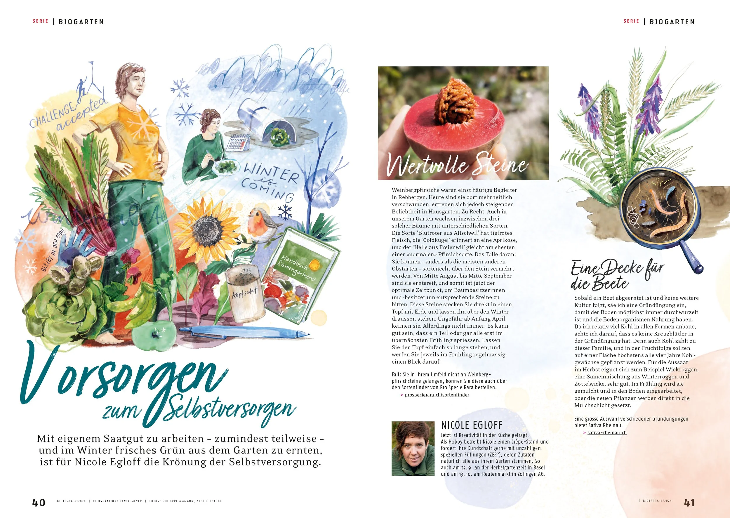 Doppelseite eines Magazins, mit fröhlichen und bunten Aquarellillustrationen als Bildcollage. Ein Mix aus Handgemalt und digitaler Zeichnung. Editorial Illustration erstellt für das Bioterra Magazin zum Thema Biogarten im Spätsommer. Die Illustration