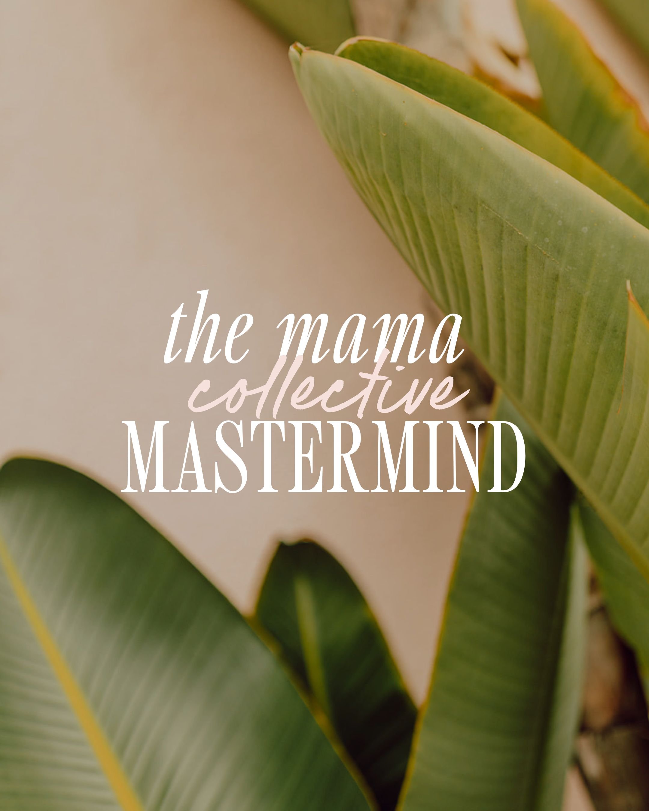 Mama Collective Mastermind FALL COHORT BEGINS