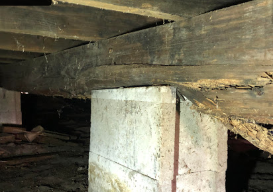 High moisture caused wood loss
