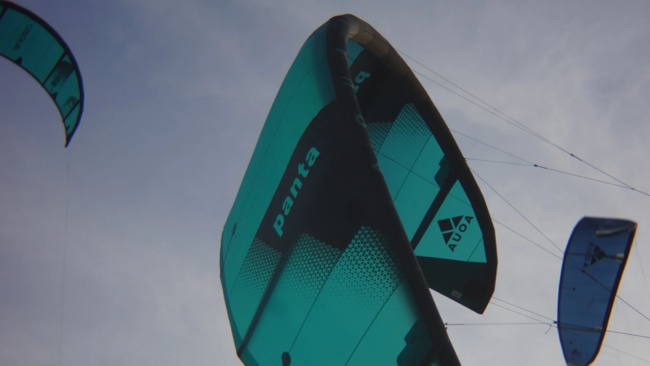 new kites