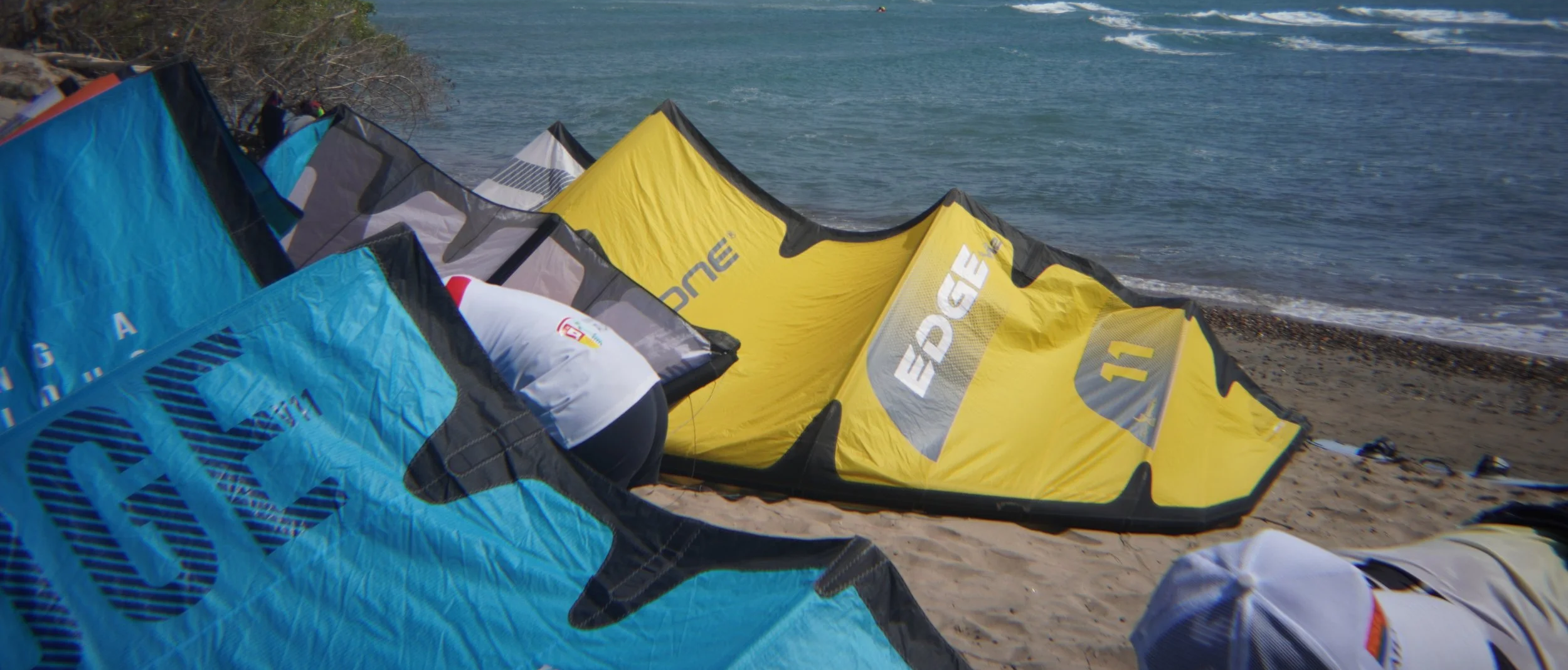 kites on the beach
