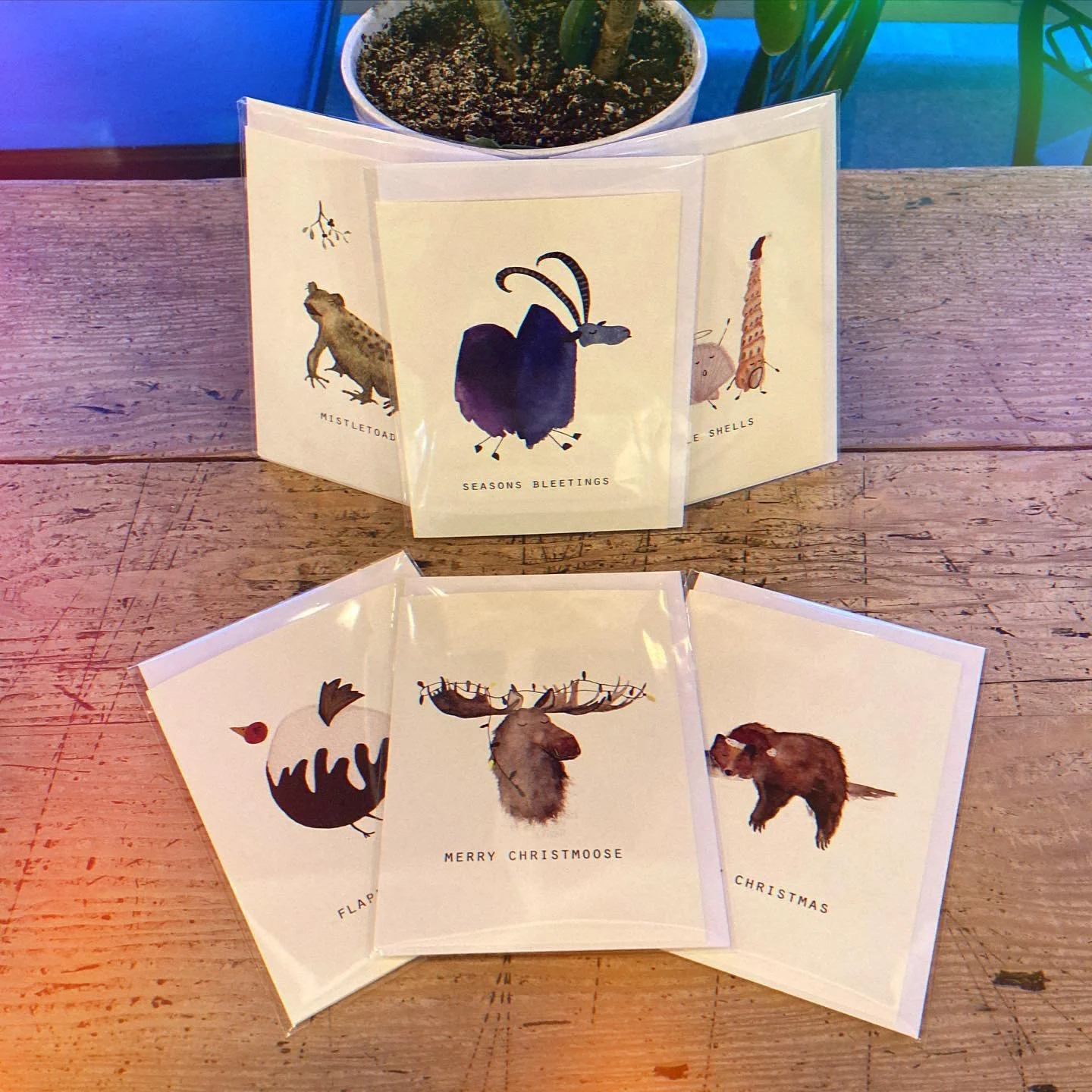 Festive Cards @johnwardfinecoffee now! 

$6.50 each or $6 each for 3 or more 🎄❄️⛄️🧣

#seasonsgreetings #badpuns #dadjikes #buylocal #handmade #watercolour #gouache #christmas2024