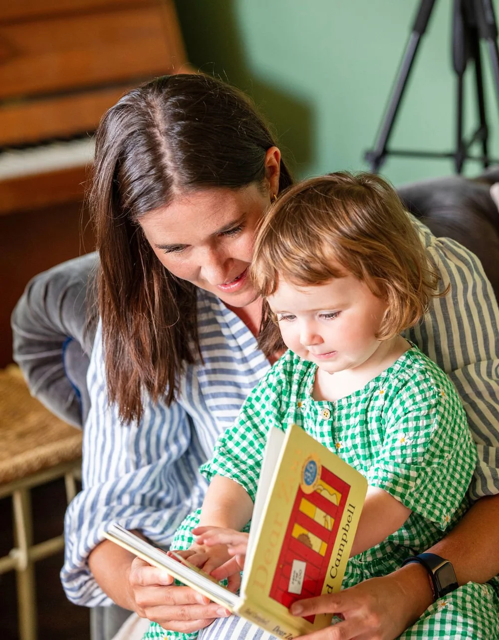 Reading Roots Publisher Phonics Rules Book 1 — Reading Roots