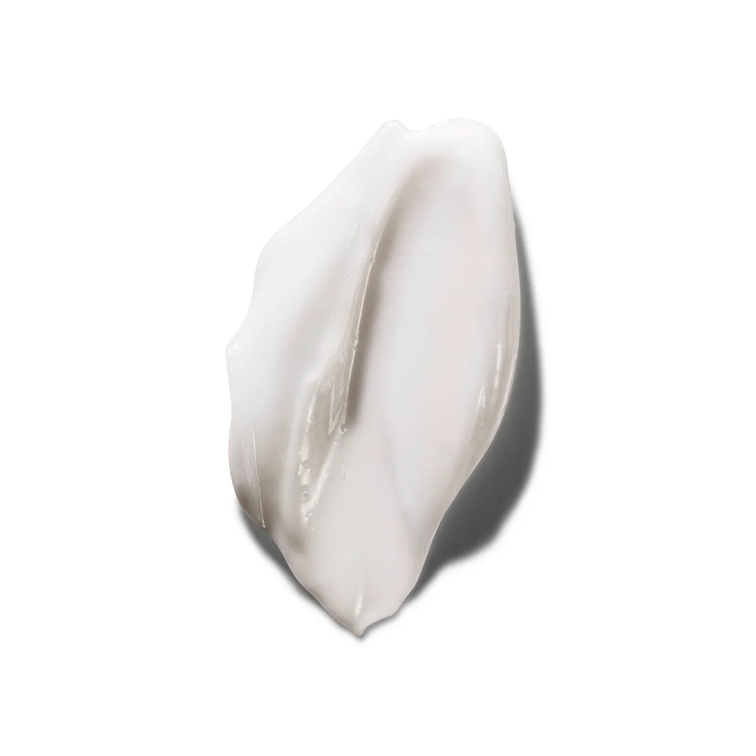 ENCORE-3.png.webp