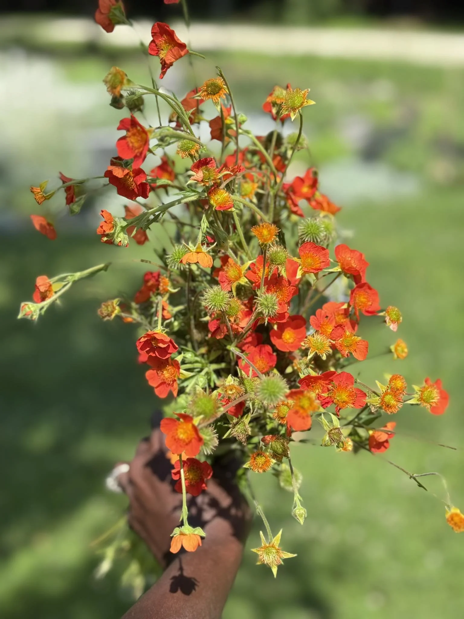 A person holding a colorful bouquet of orange and red flowers outdoors with a green blurred background.