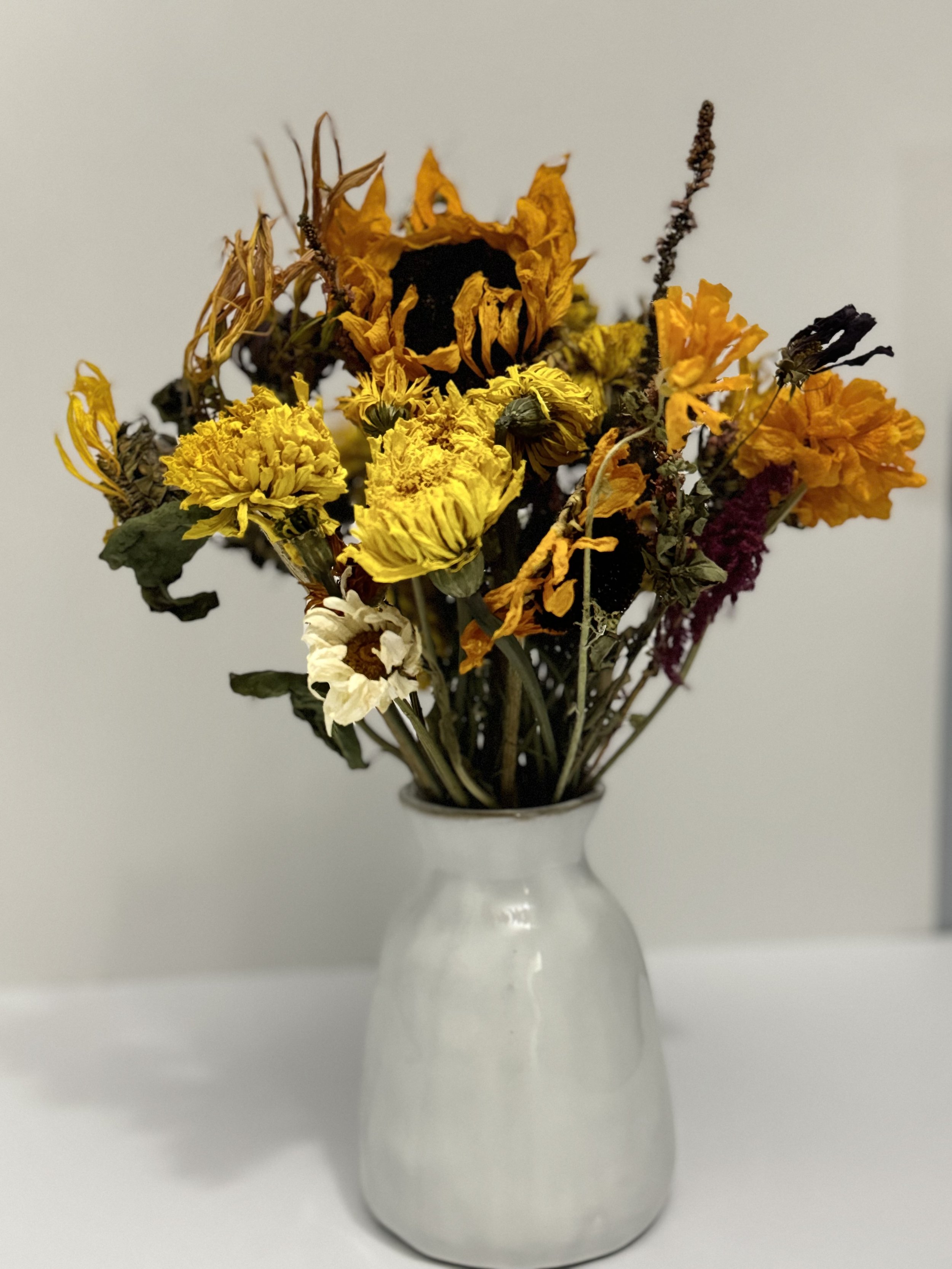 IMG_5556.jpeg