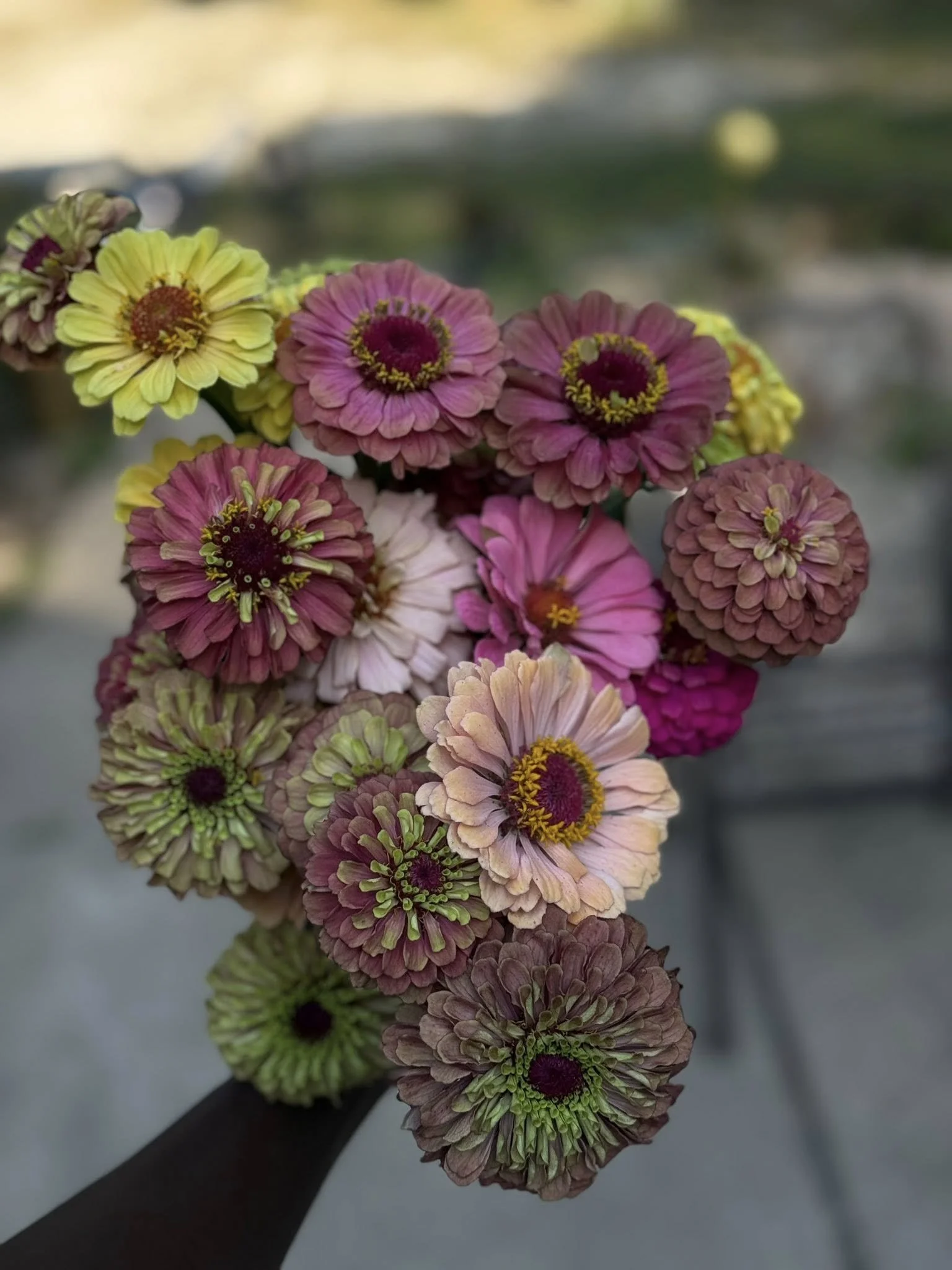 A bouquet of colorful flowers with various shades of pink, purple, yellow, and green.