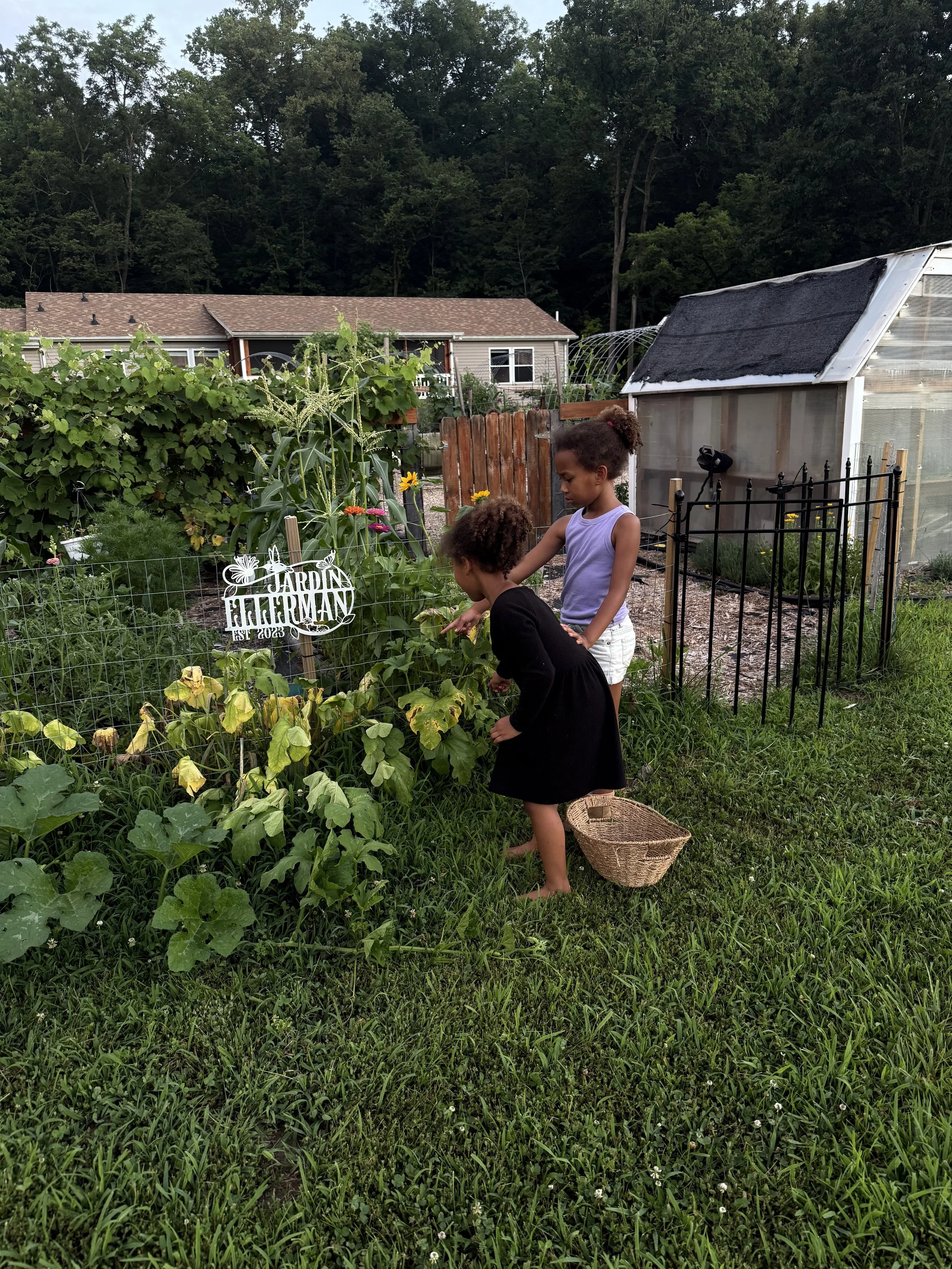 Two young girls with curly hair in a garden, one wearing a black dress and the other a light purple top and white shorts, tending to plants near a garden fence with a white sign that reads 'JARDIN DE HERMAN'. A small wicker basket sits on the grass nearby. There are green plants, a small greenhouse, and trees in the background.