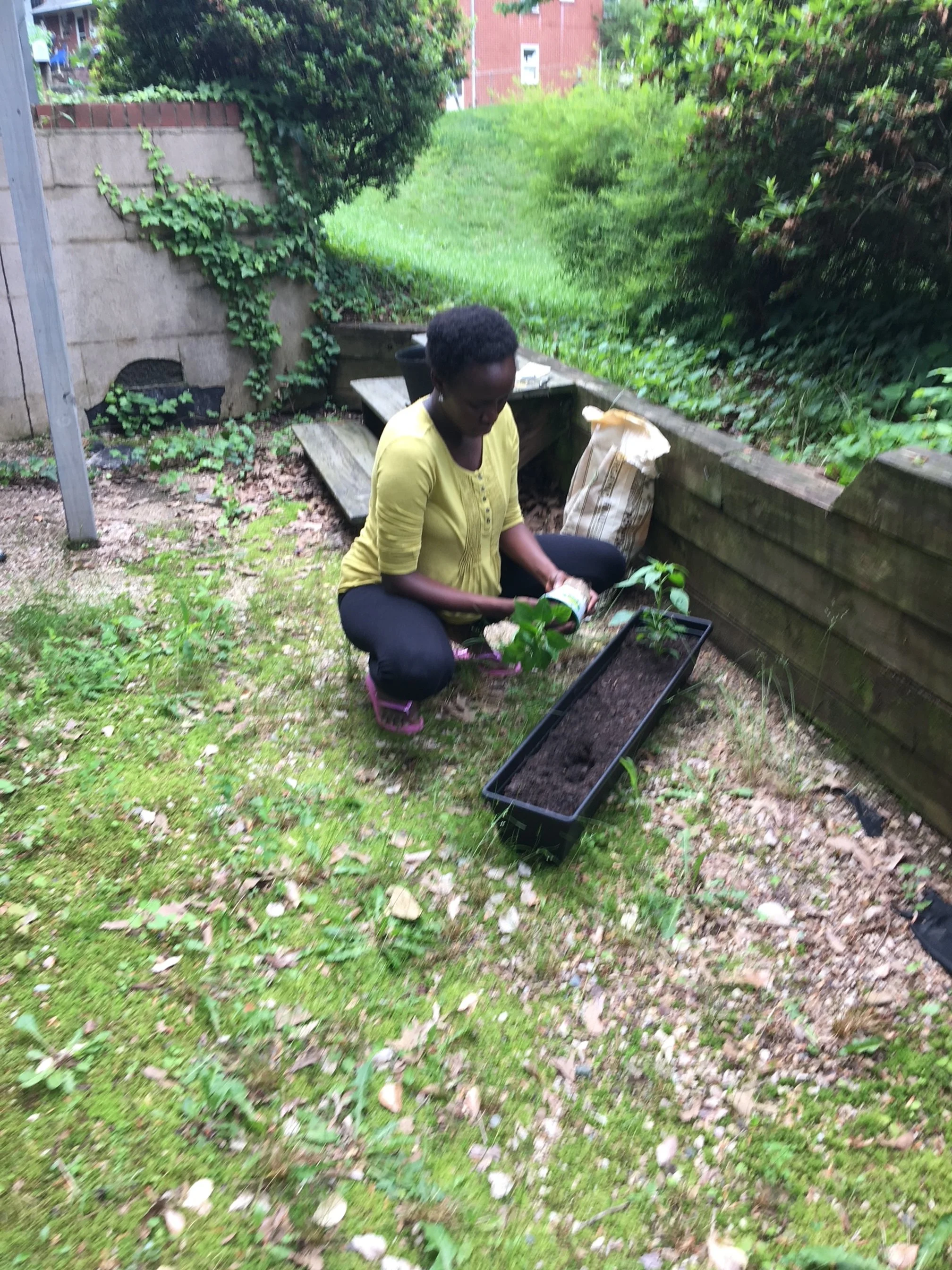 A woman planting a small plant in a black rectangular planter with soil outside in a garden.