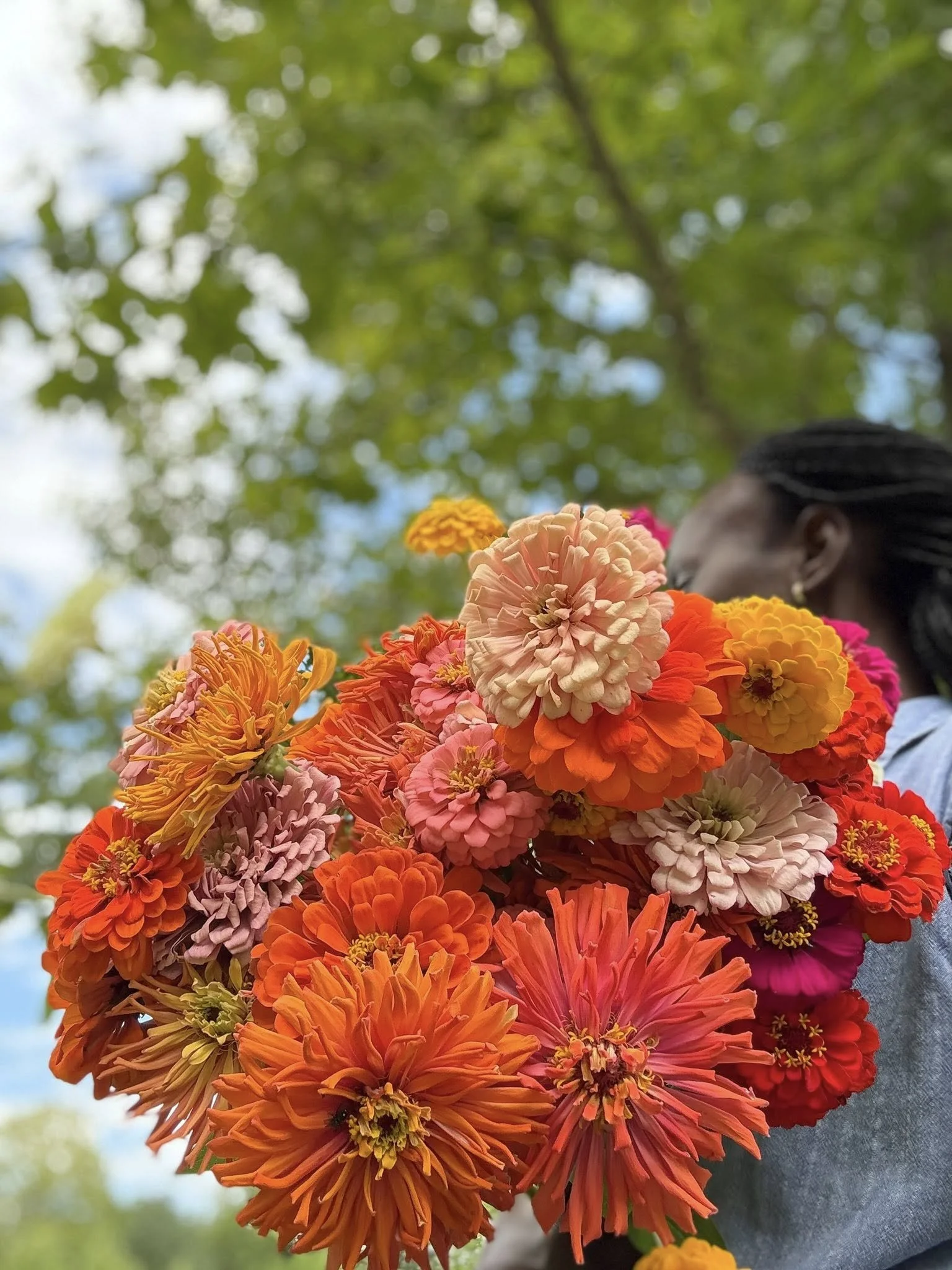 Person holding a large bouquet of multicolored flowers outdoors with green trees and blue sky in the background.