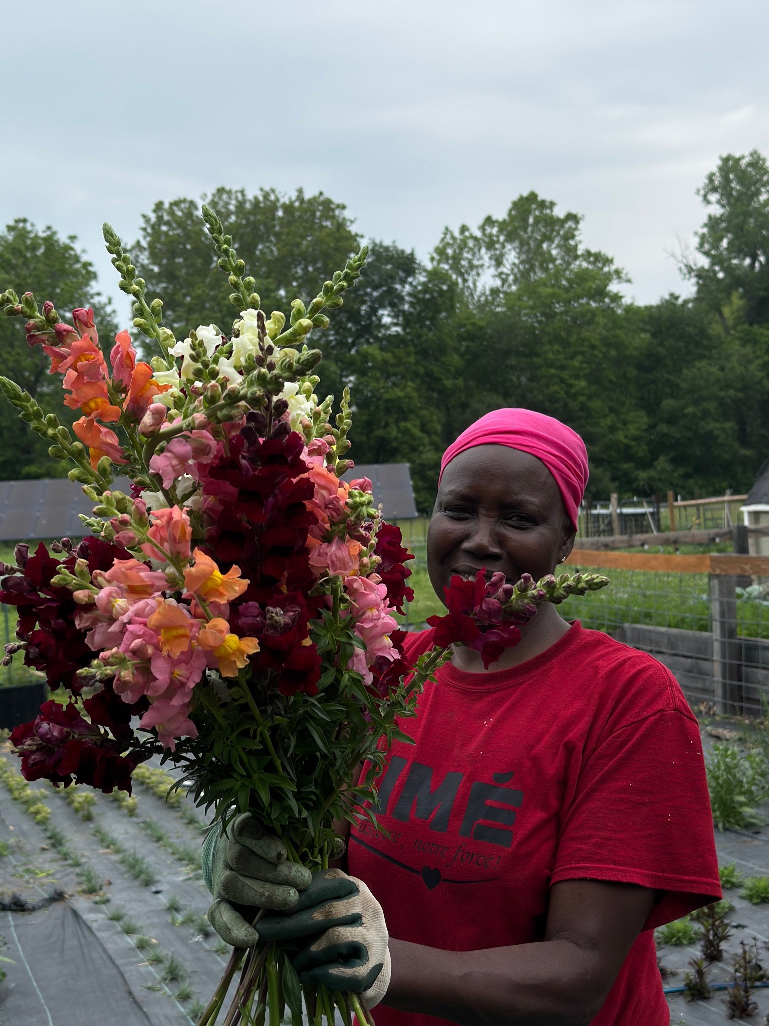 Woman with pink headscarf and red shirt holding a large bouquet of colorful snapdragon flowers in a garden.
