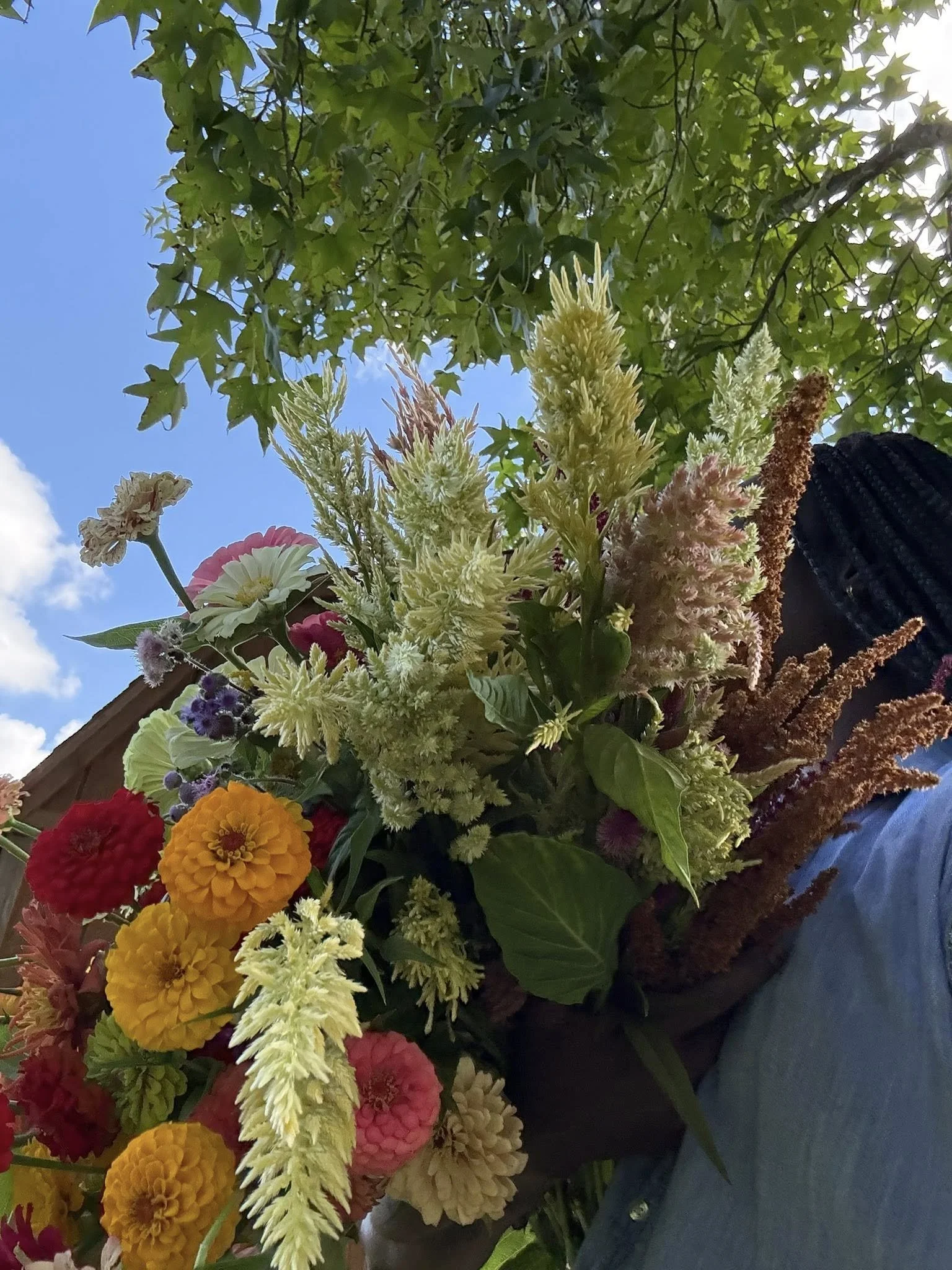 Close-up of a colorful flower bouquet held by a person outdoors with green leafy trees and a blue sky in the background.