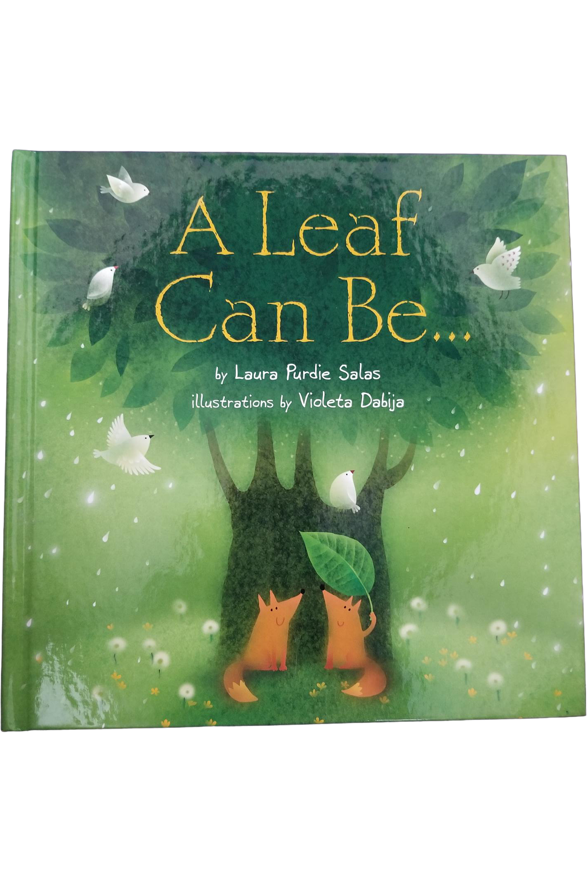a-leaf-can-be-front.png