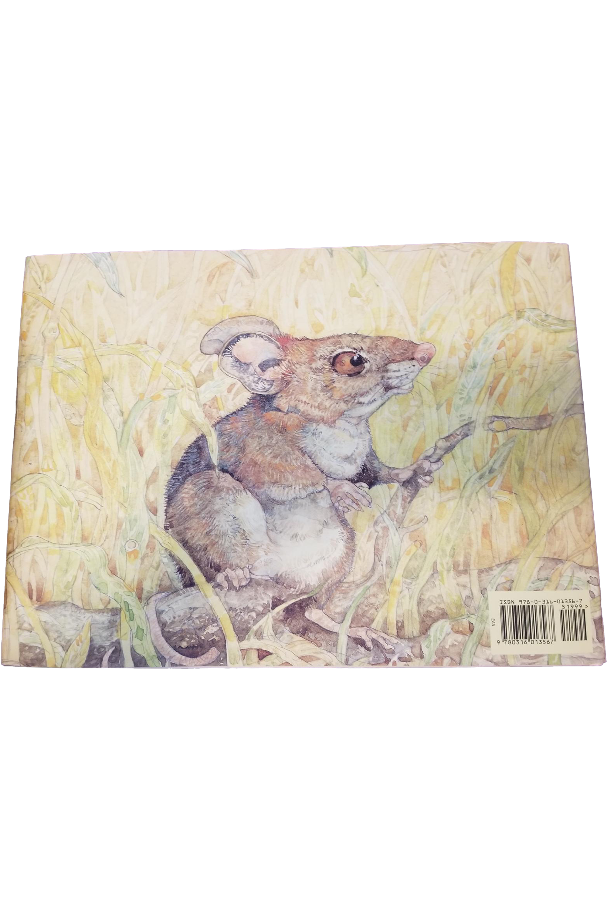the-lion-and-the-mouse-back.png