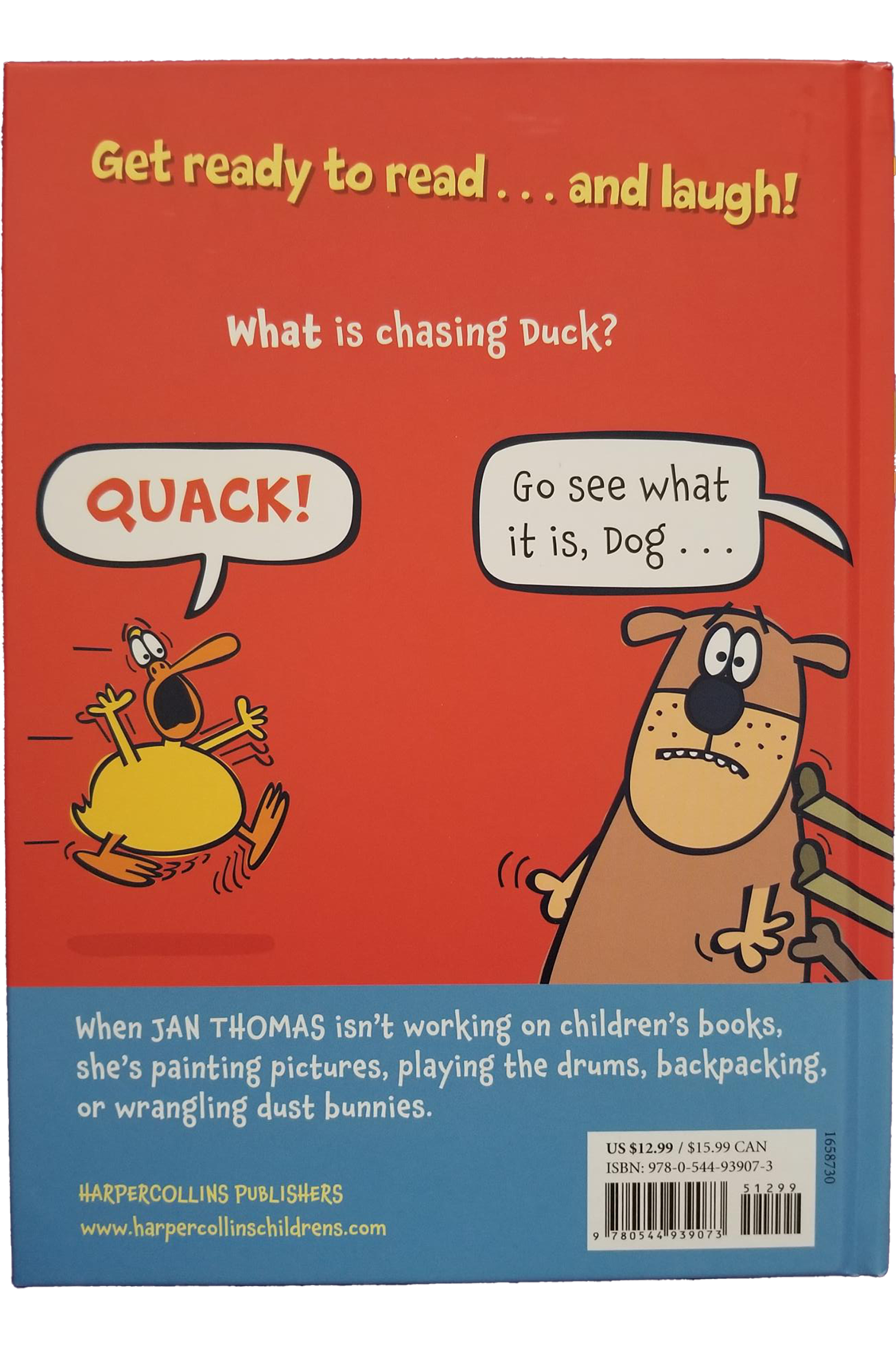 what-is-chasing-duck-back.png