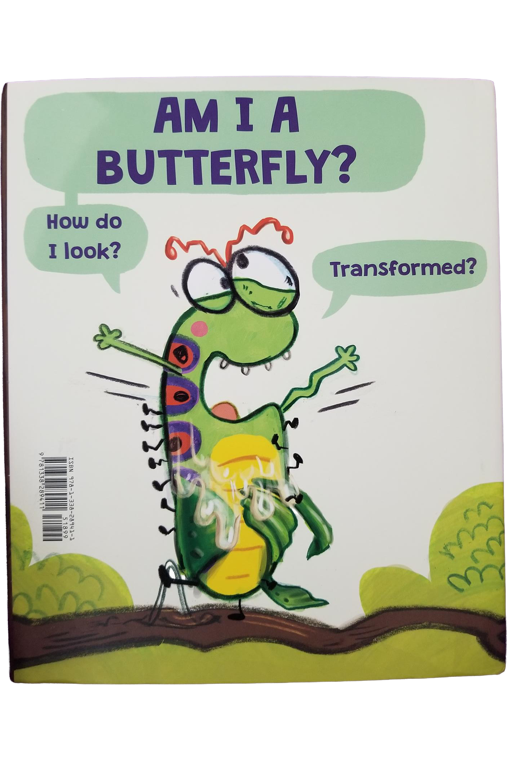 the-very-impatient-caterpillar-back.png