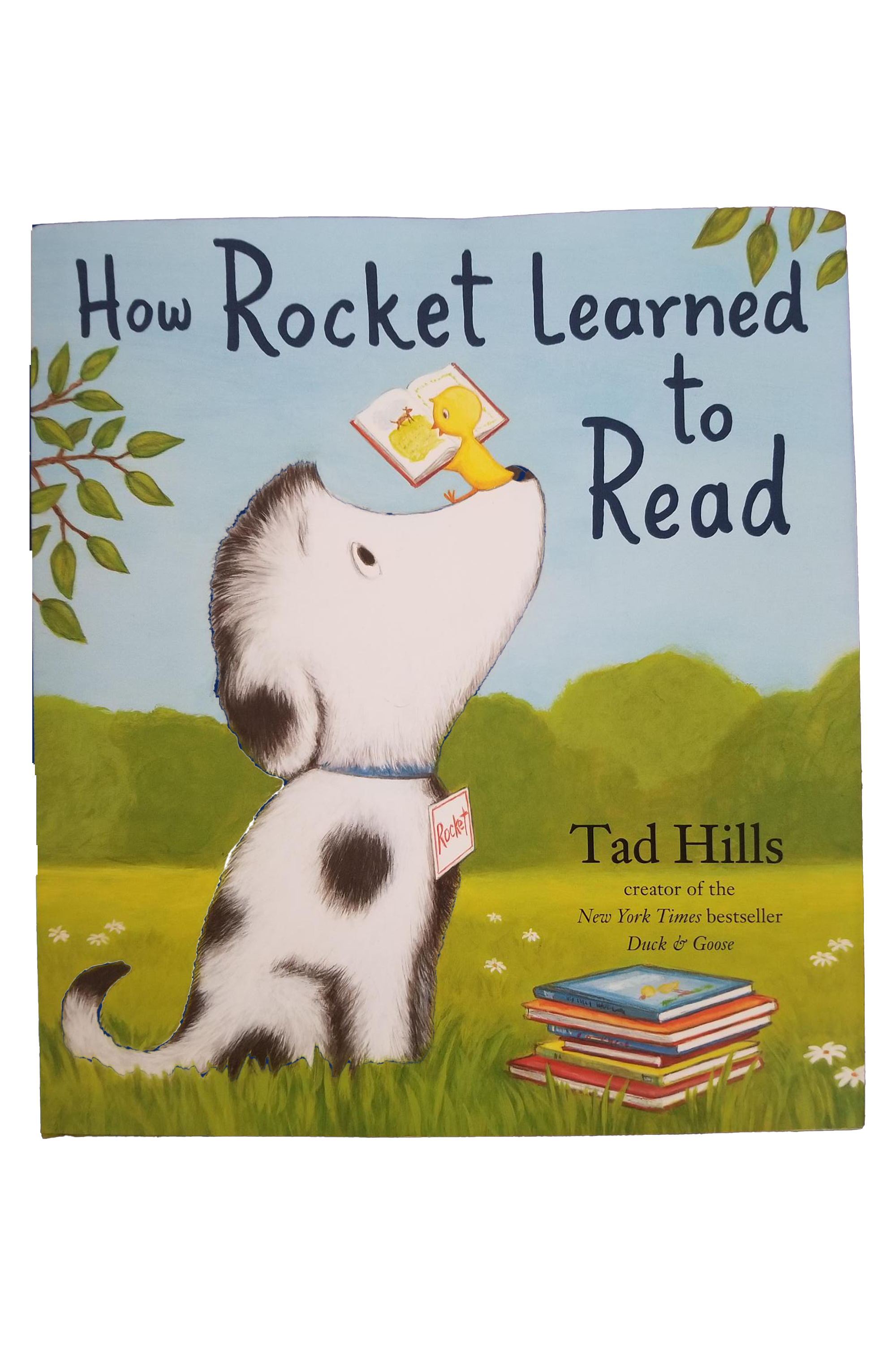 How Rocket Learned to Read
