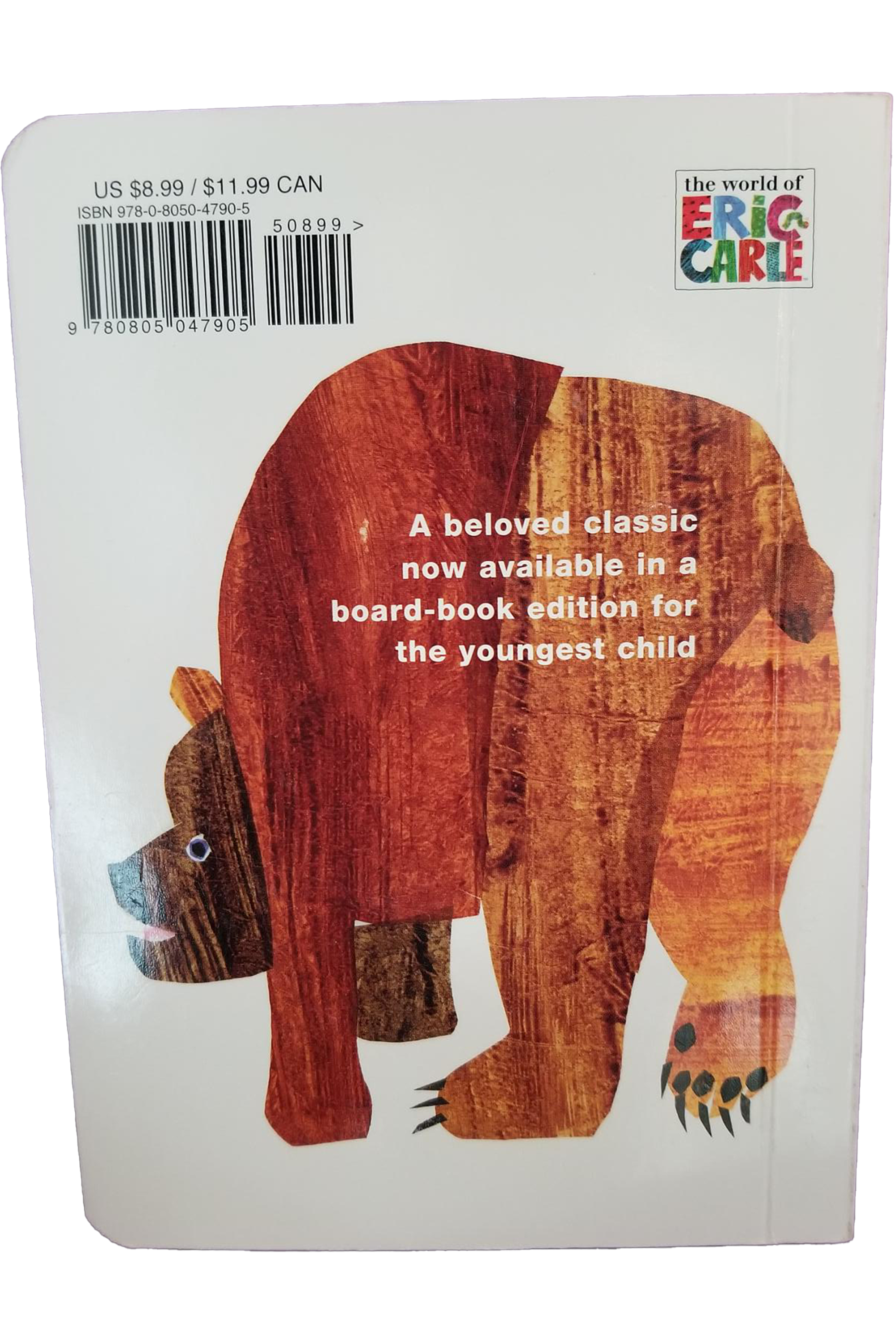 brown-bear-brown-bear-back.png