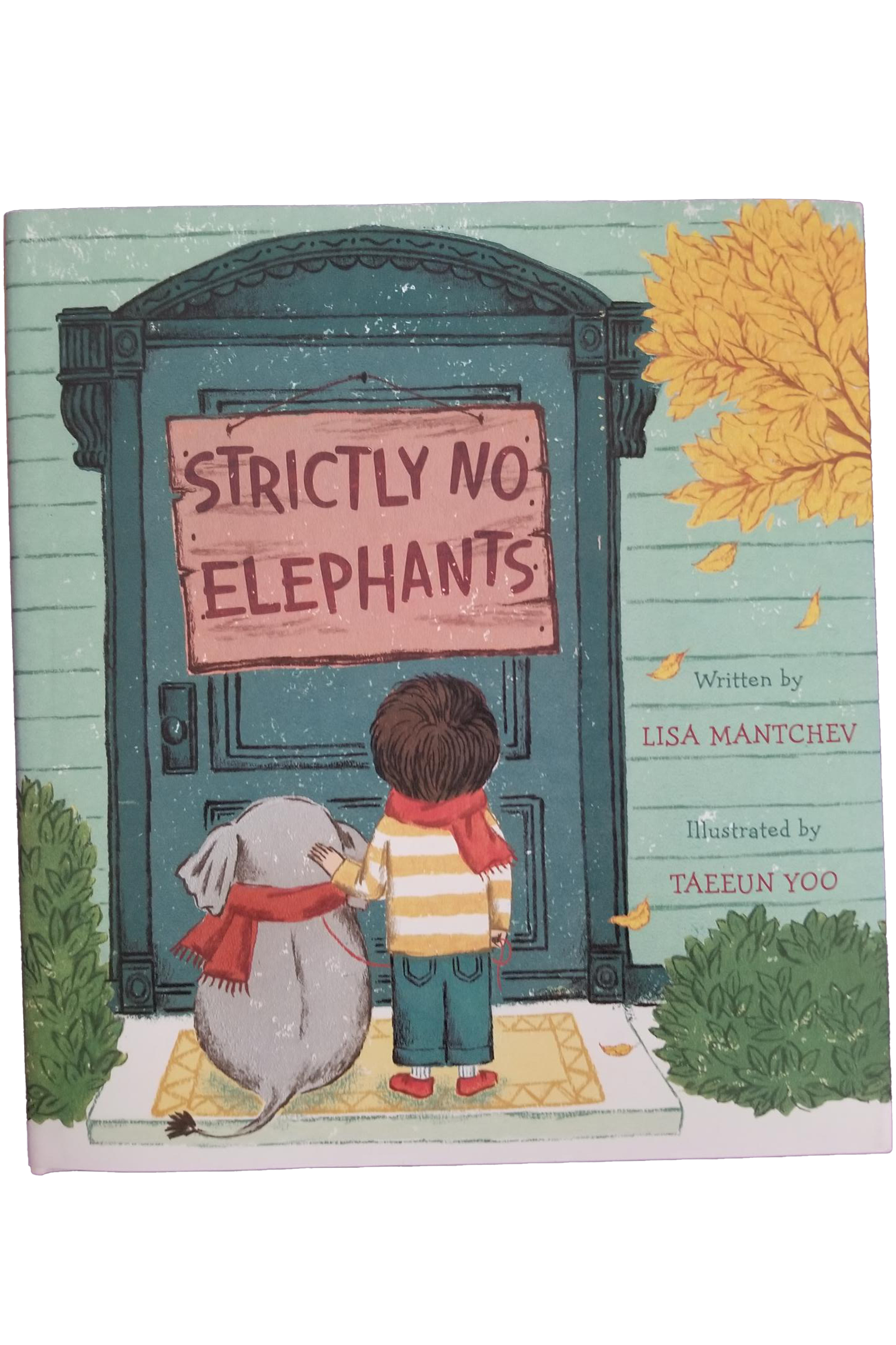 Strictly No Elephants