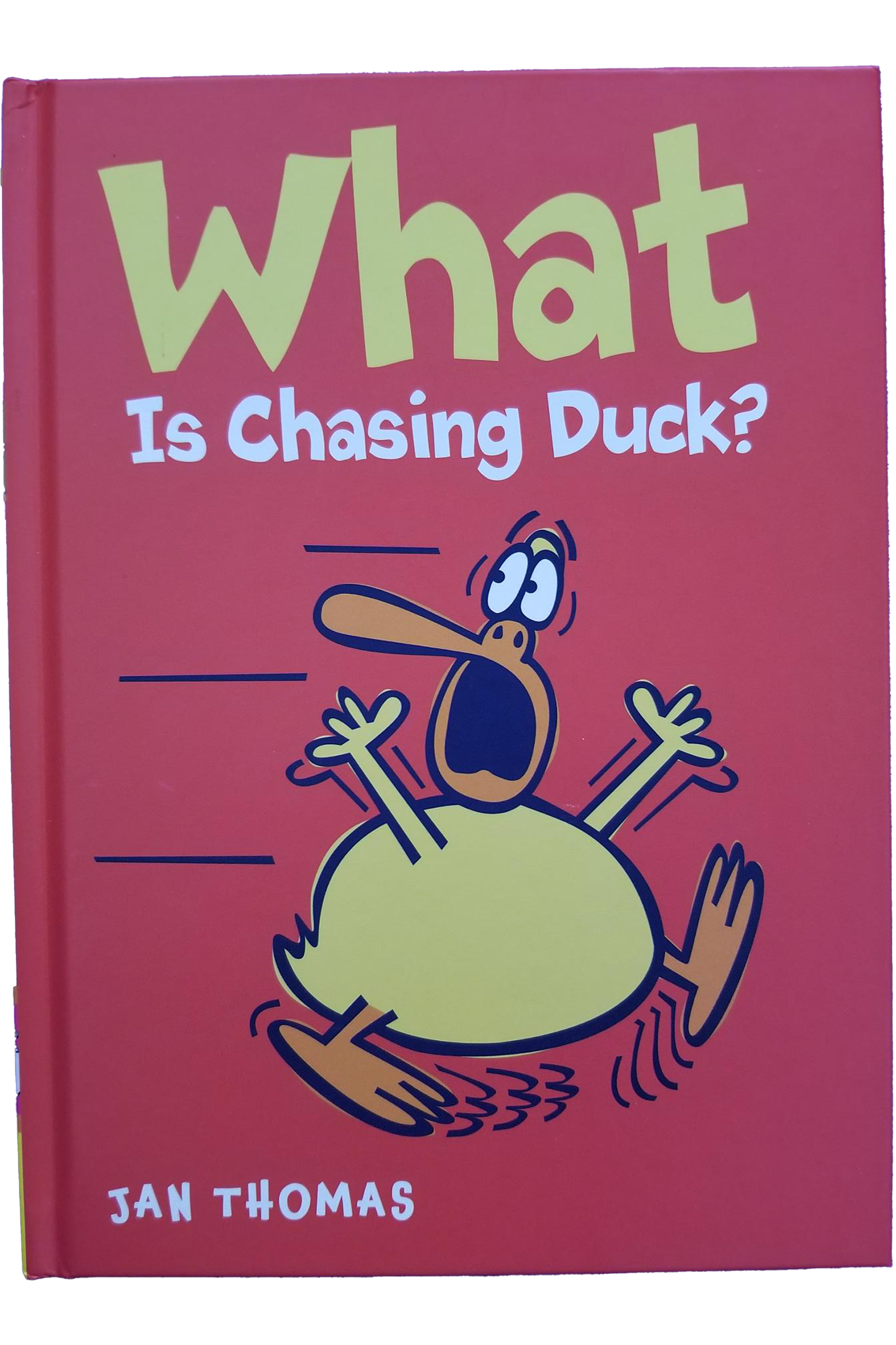 What Is Chasing Duck