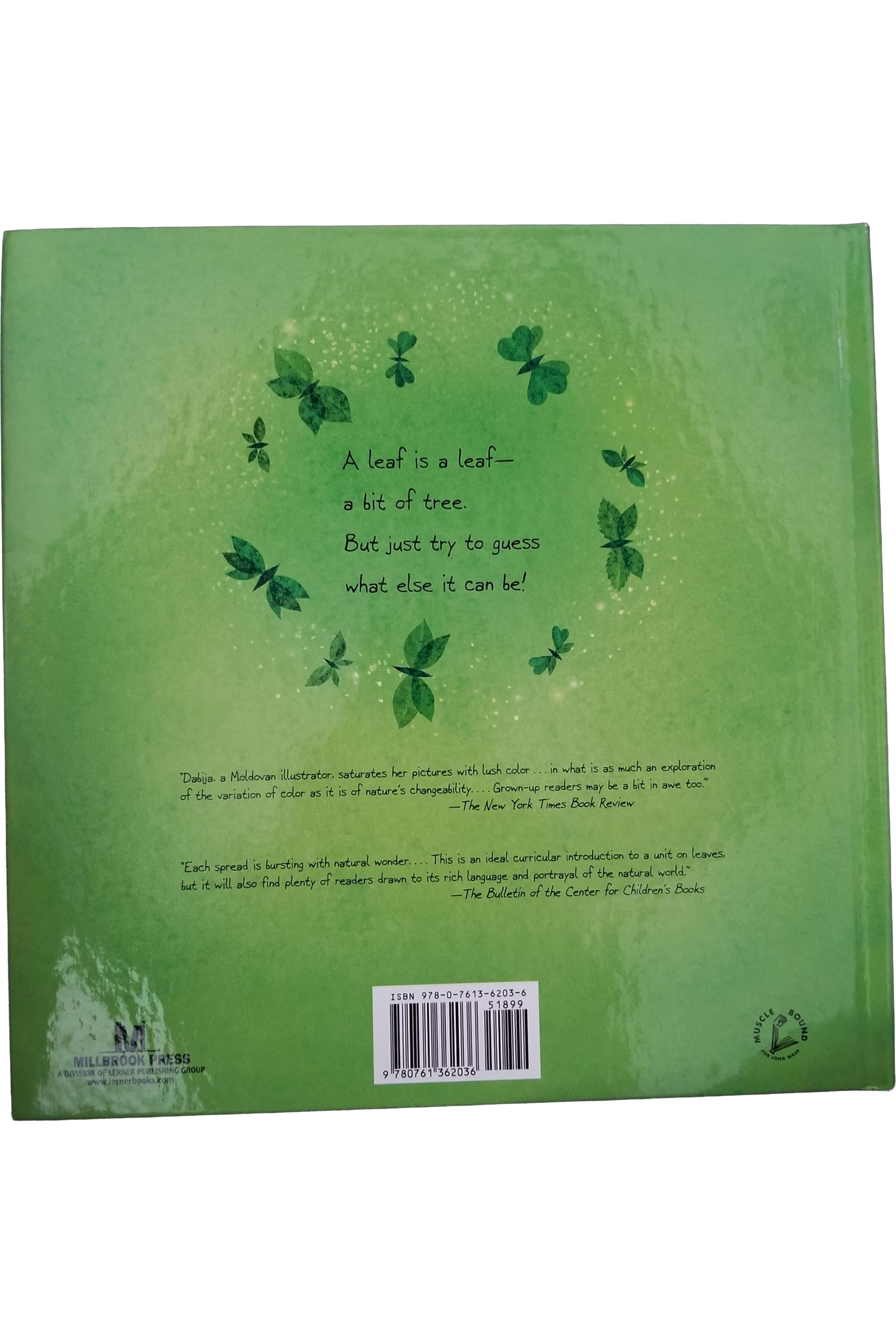 a-leaf-can-be-back.png