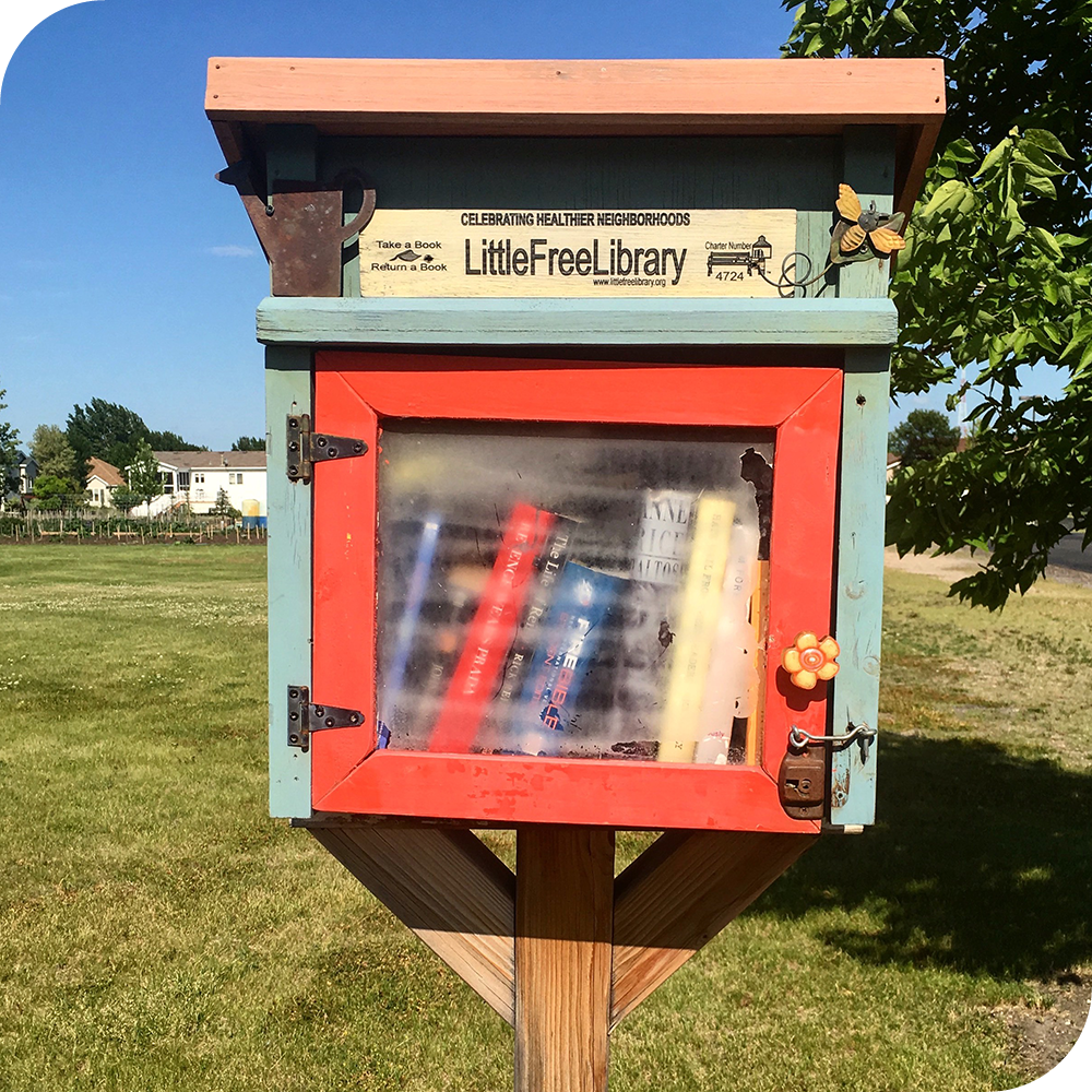 A community Little Free Library with a red border on the door containing books.