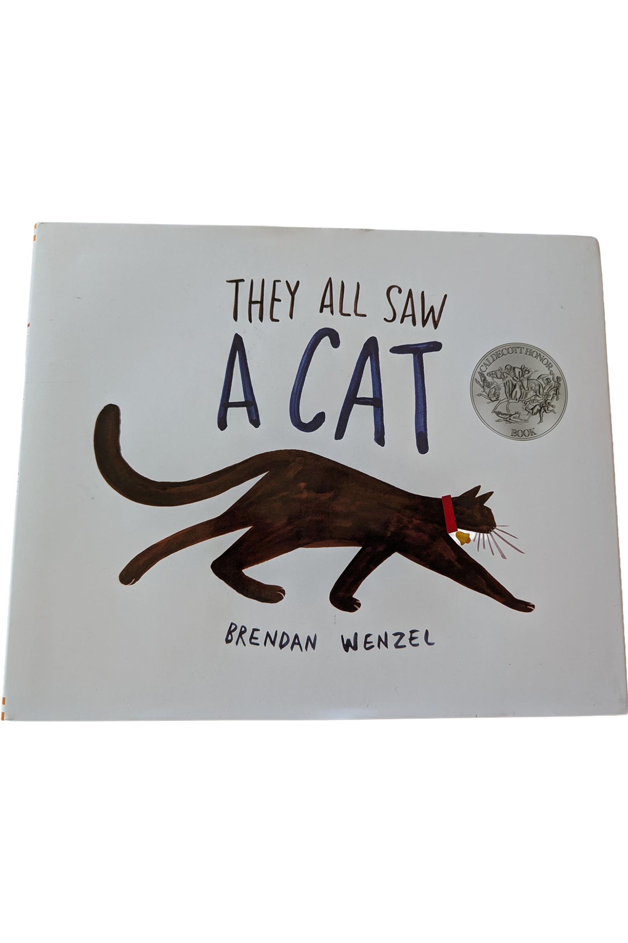 they-all-saw-a-cat-front.png