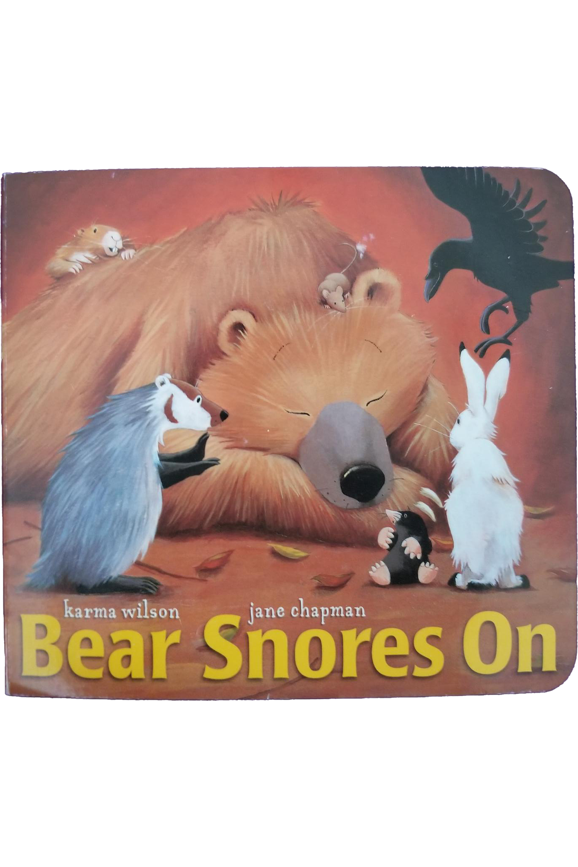 Bear Snores On