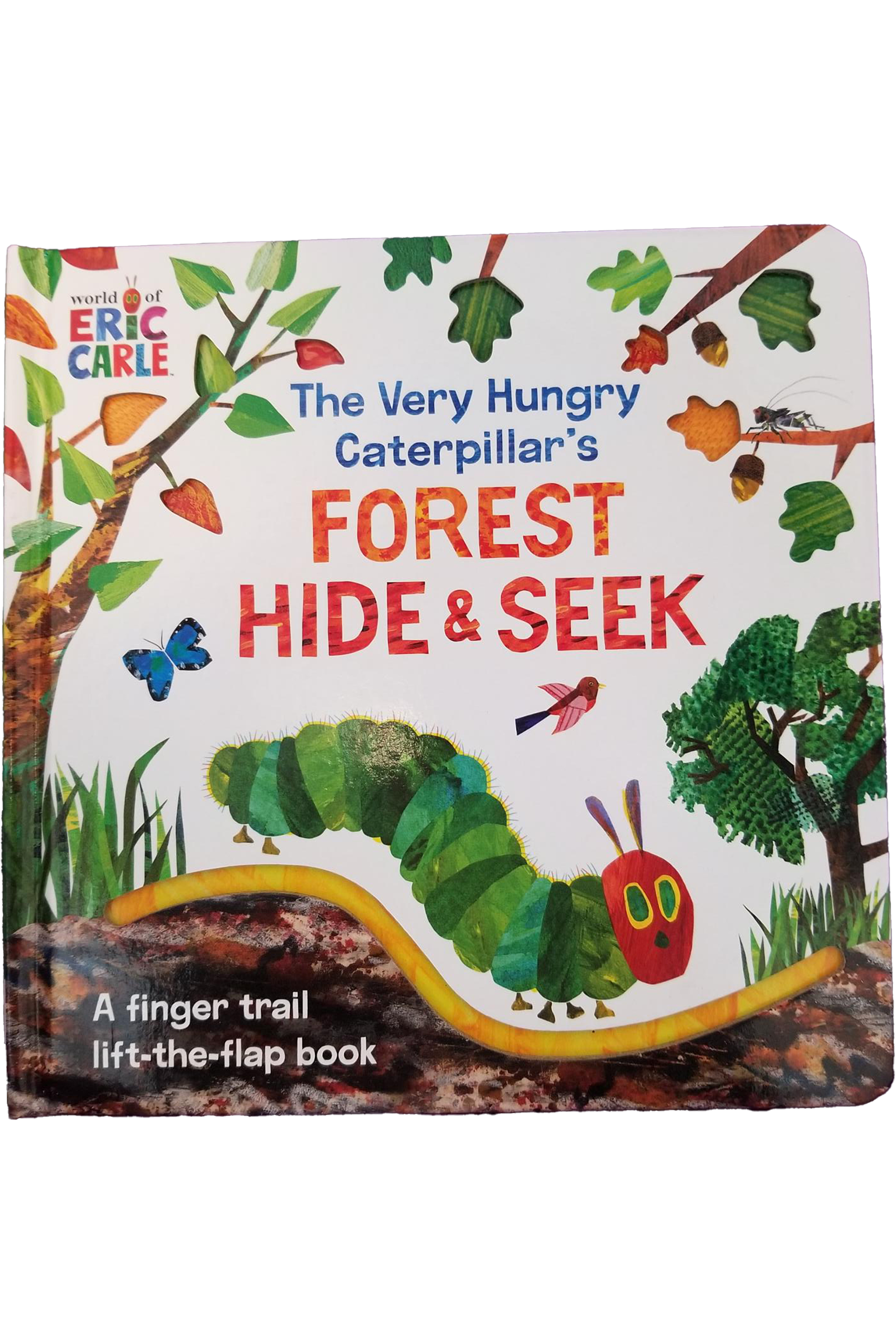 very-hungry-caterpillers-forest-hide-seek-front.png