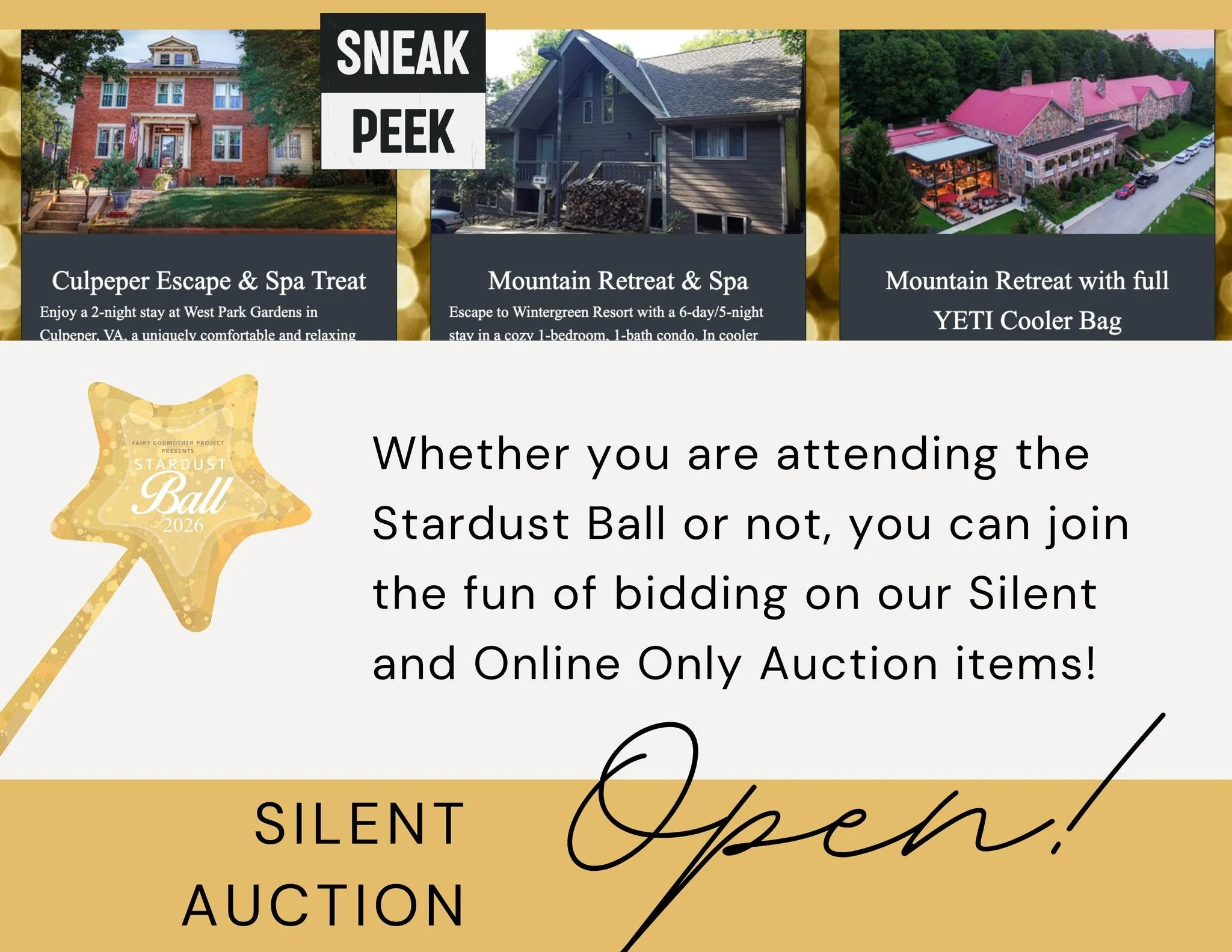 The Stardust Ball Silent Auction is open! Just a FEW of the MANY items are up now, so be sure to check back regularly for the next week! From weekend trips and house cleaning/organization, to a Trolley party and week at the beach, don't miss these it