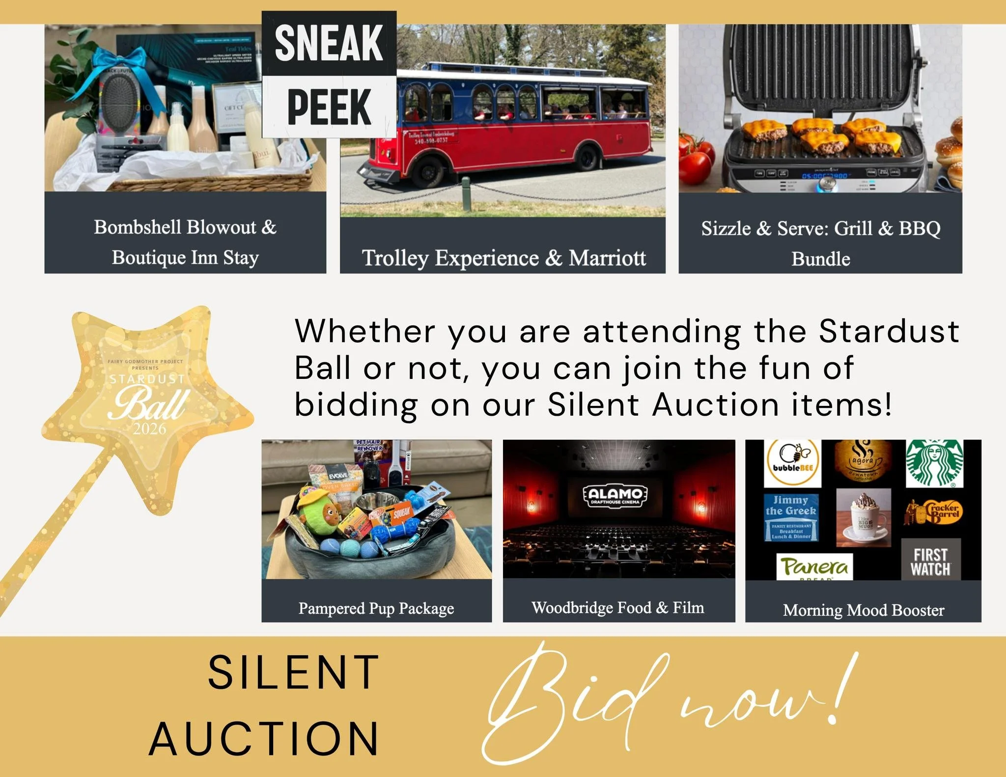 An easy way to support FGP is by buying fun stuff! Browse our silent auction and see what catches your eye: www.bit.ly/FGPsilentauction💛