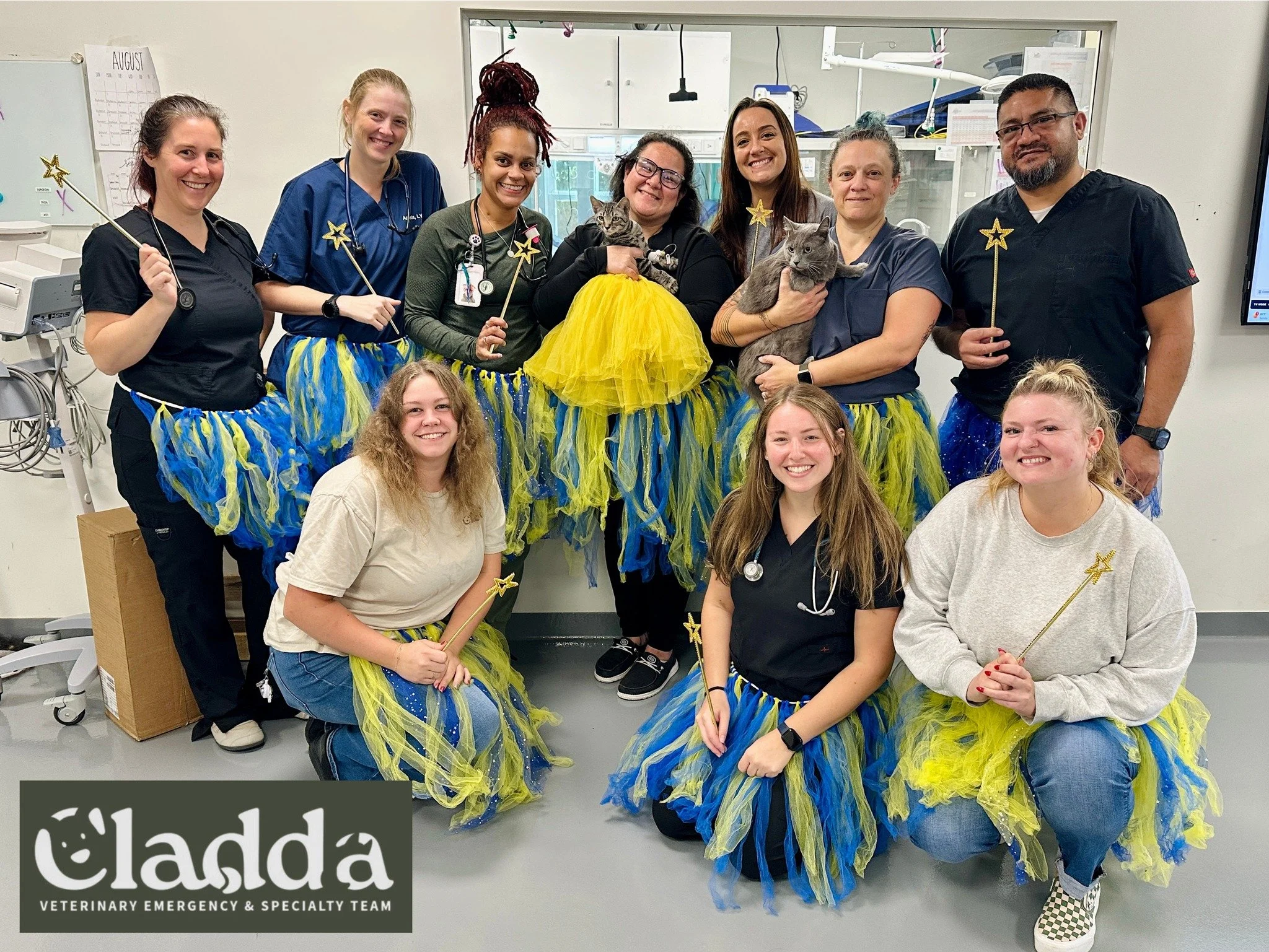 Cladda Veterinary Emergency &amp; Specialty Team is showing their support for Childhood Cancer Awareness Month with tutus! 💛 Cladda provides 24/7 emergency/urgent compassionate veterinary care along with specialty surgery, cardiology, integrative me