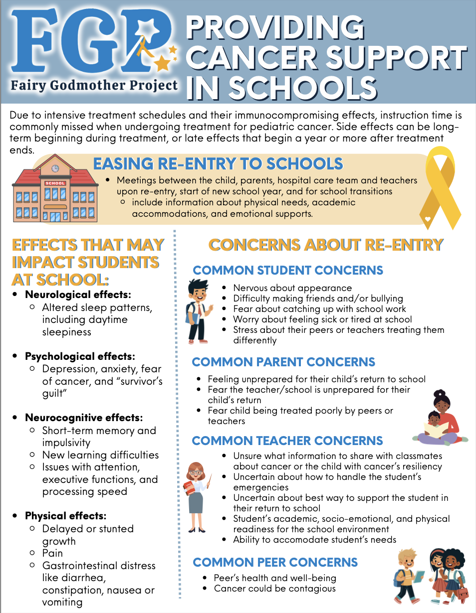 Infographic about support in schools