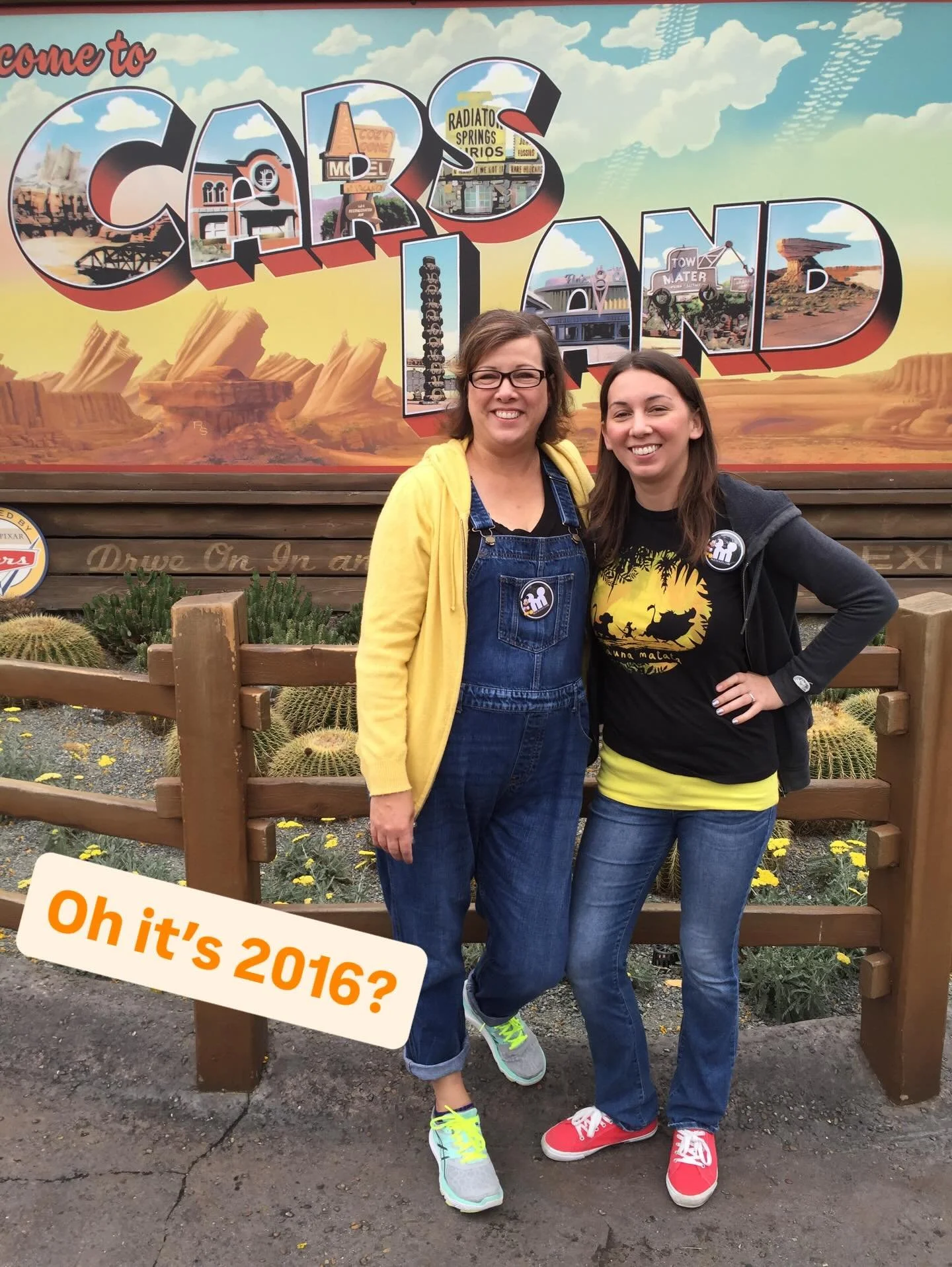 Did someone say it&rsquo;s 2016? 

What a year! We went to Disneyland together twice and were even there to ring in the new year. Trish went to Disney world and Kate saw her favorite band live. Kate started her new job at Starbucks, and Trish partici