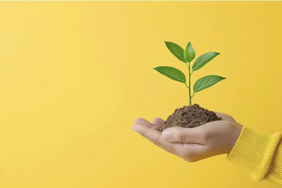 Hand holding soil with a small green plant against a yellow background representing growth in your business when outsourcing.